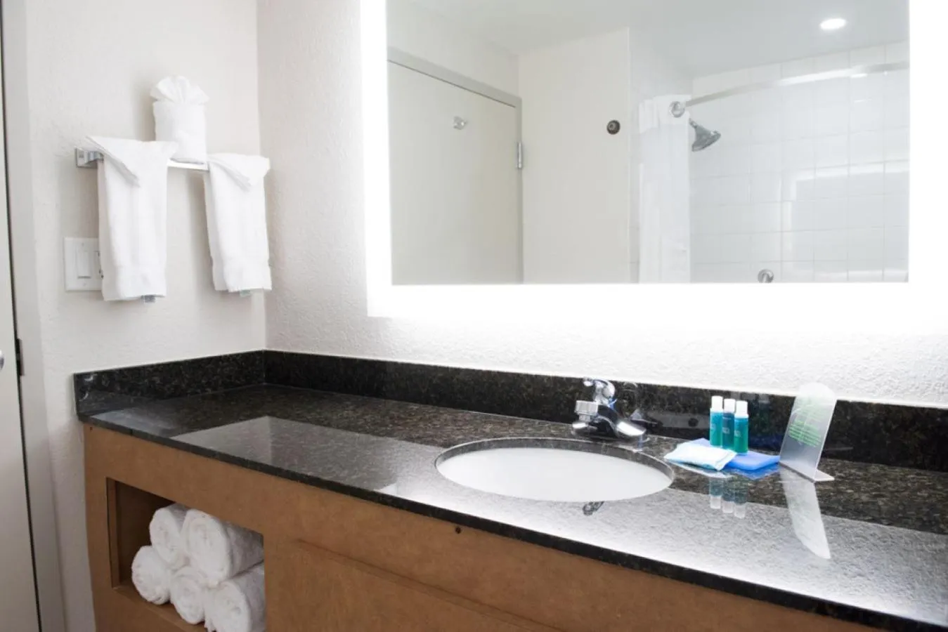 Bathroom in Holiday Inn Express Hotel & Suites Mobile Saraland by IHG