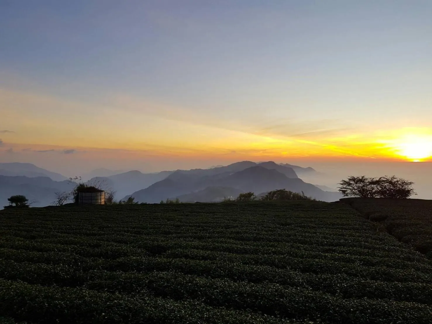 View (from property/room) in Ming Yang B&B