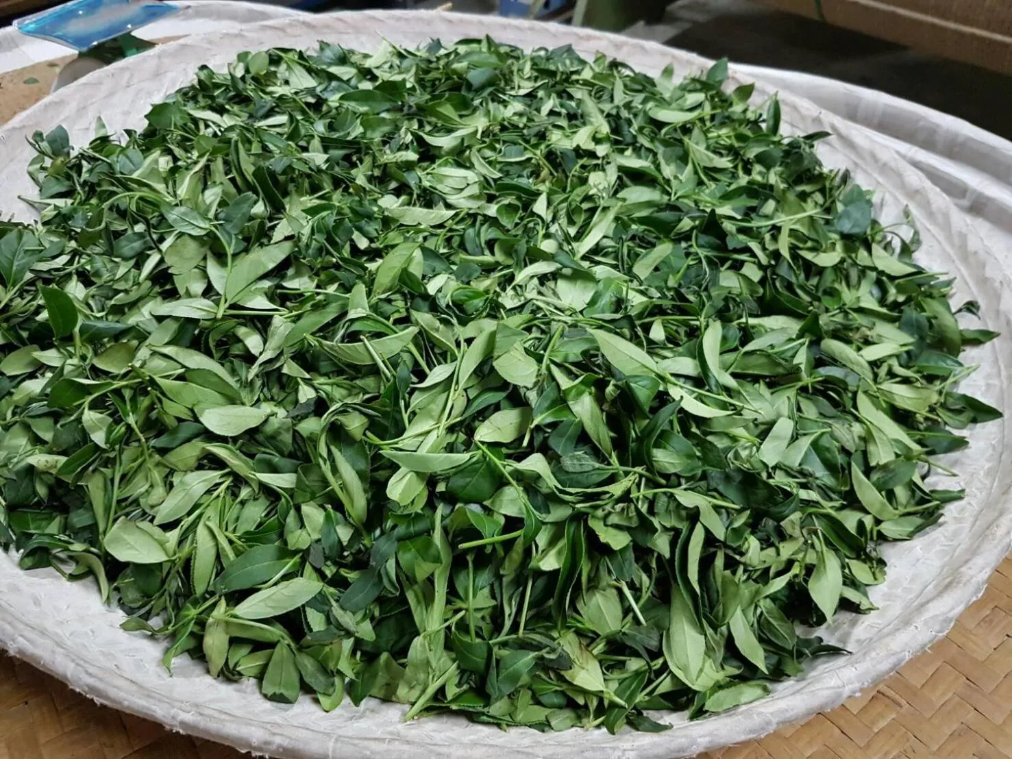 Property building in Ming Yang B&B