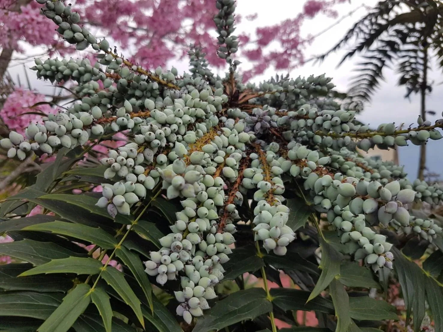 View (from property/room) in Ming Yang B&B