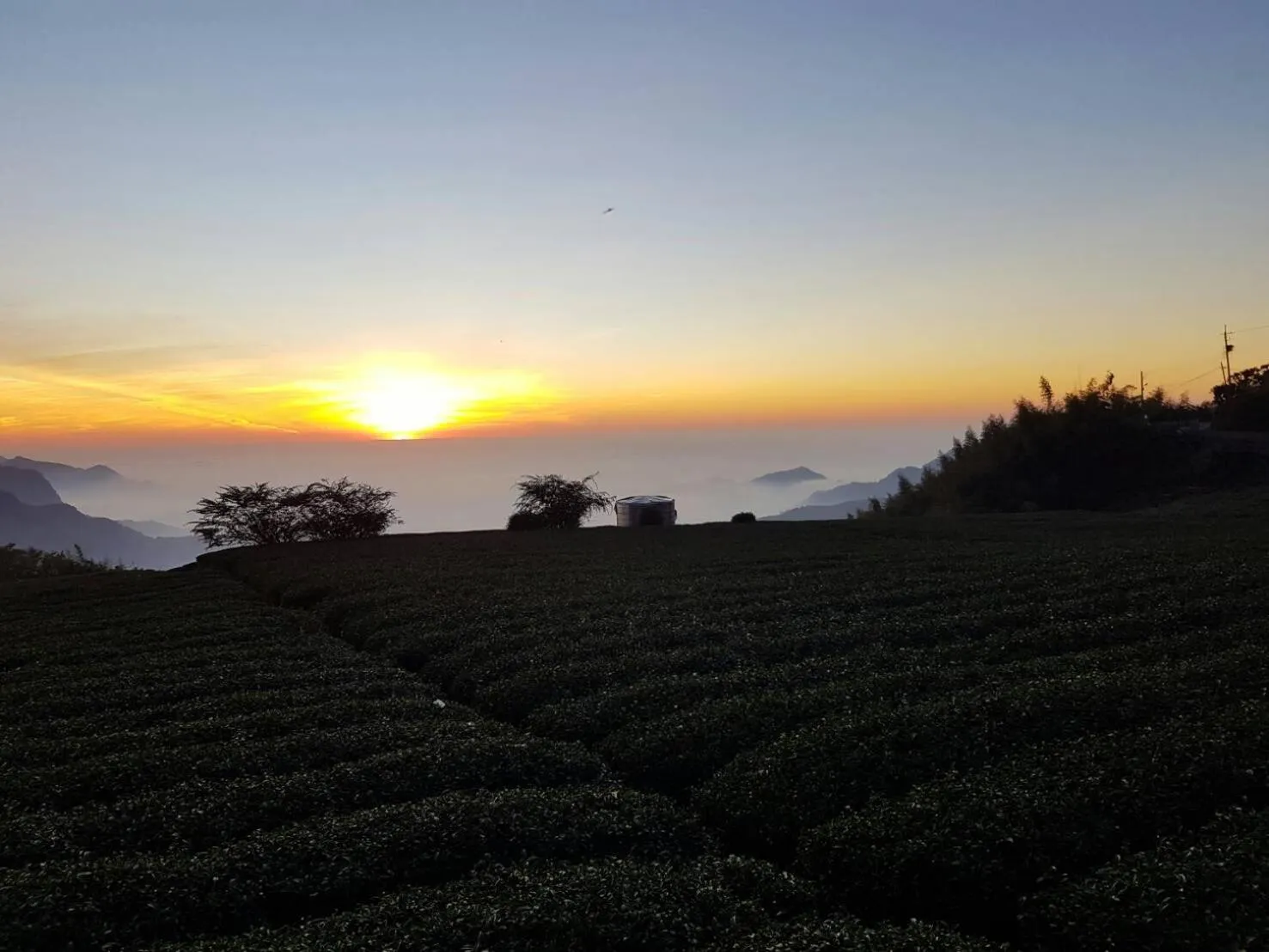 View (from property/room) in Ming Yang B&B