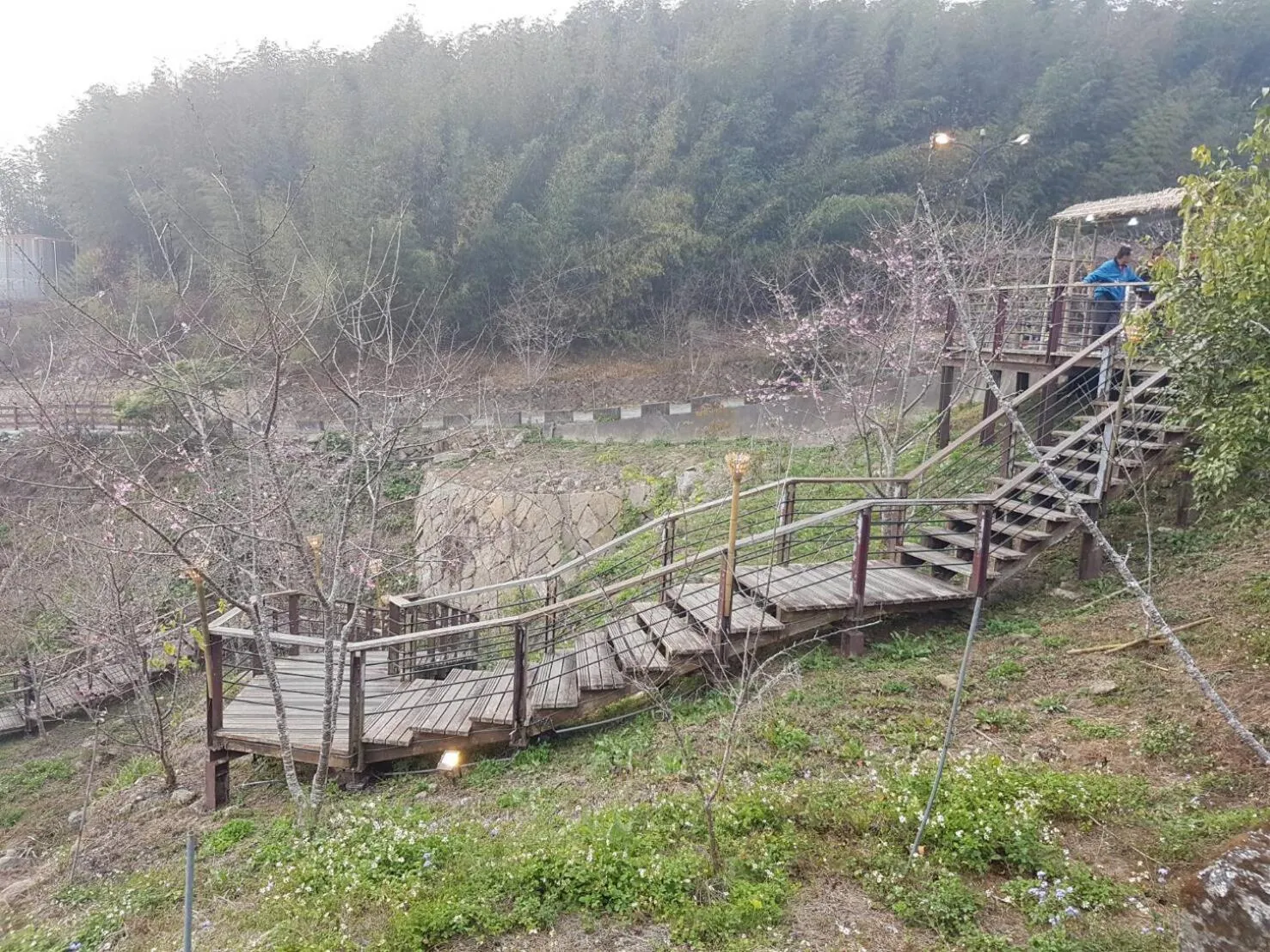 Spring in Ming Yang B&B