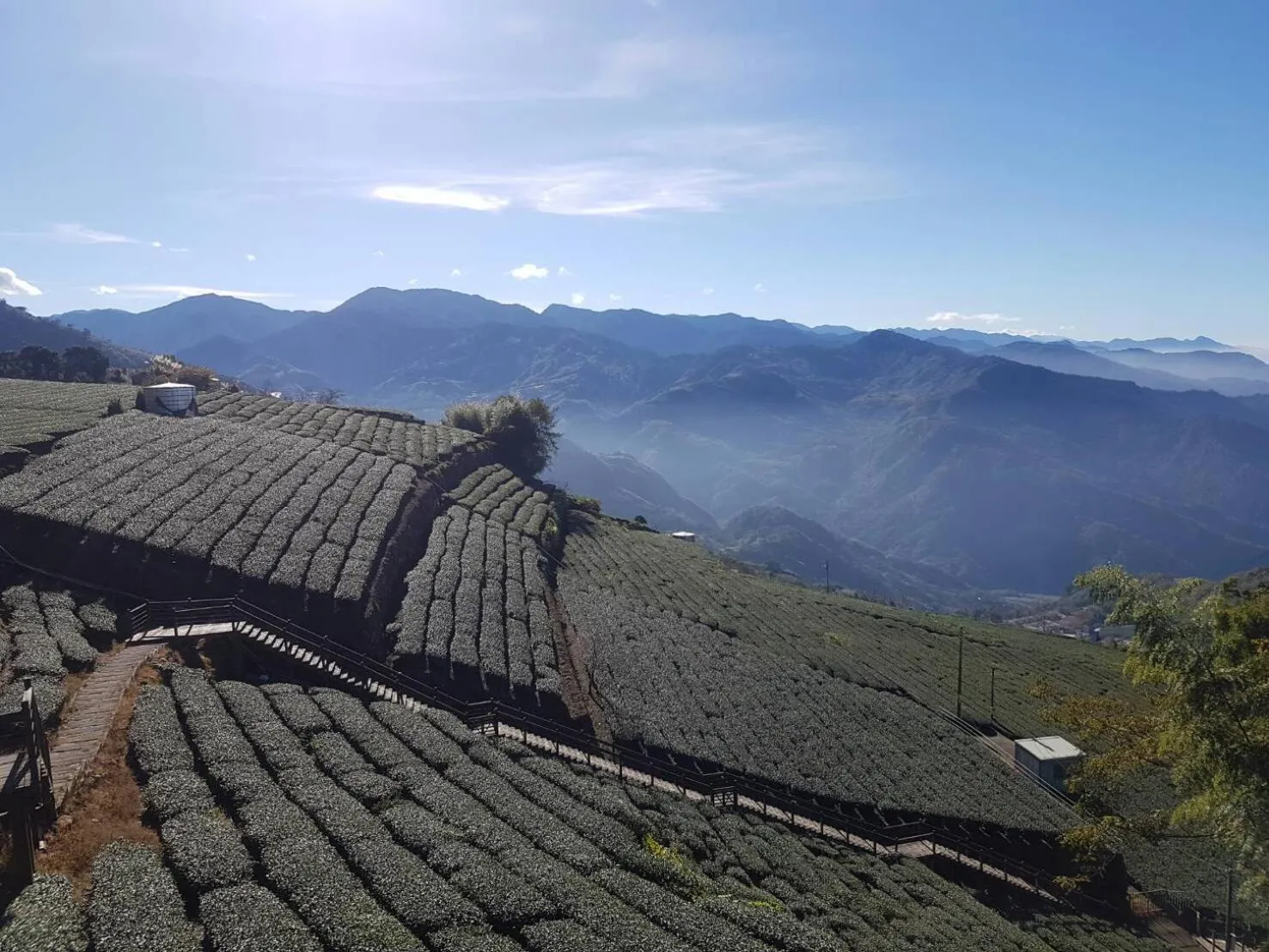 Natural landscape in Ming Yang B&B