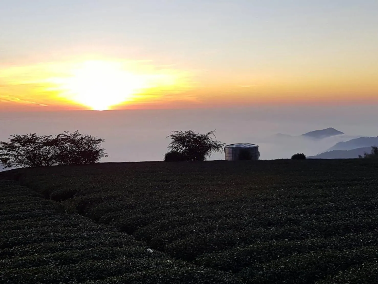 View (from property/room) in Ming Yang B&B