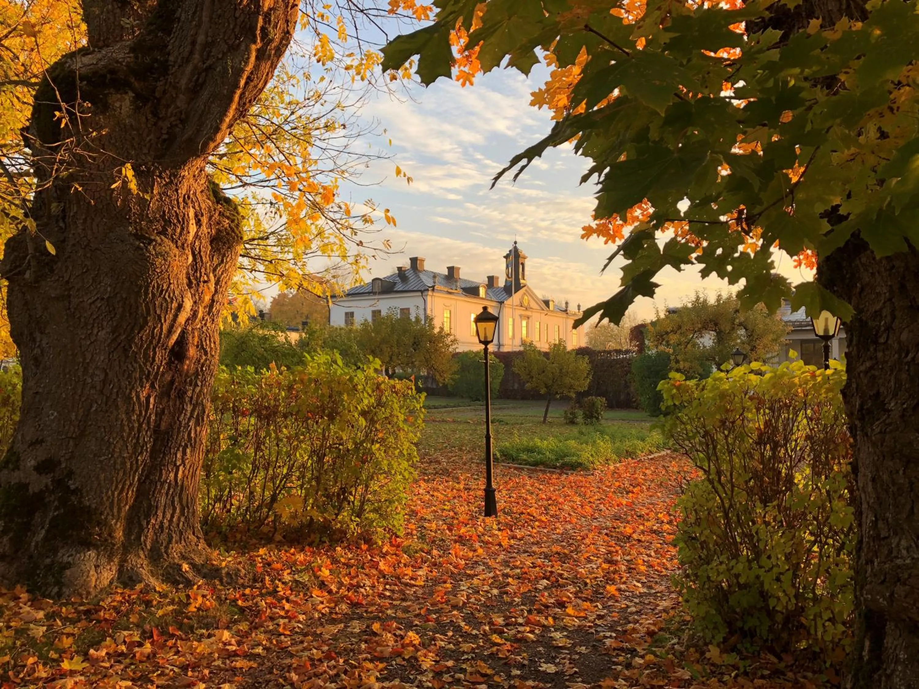 Garden in Gimo Herrgård