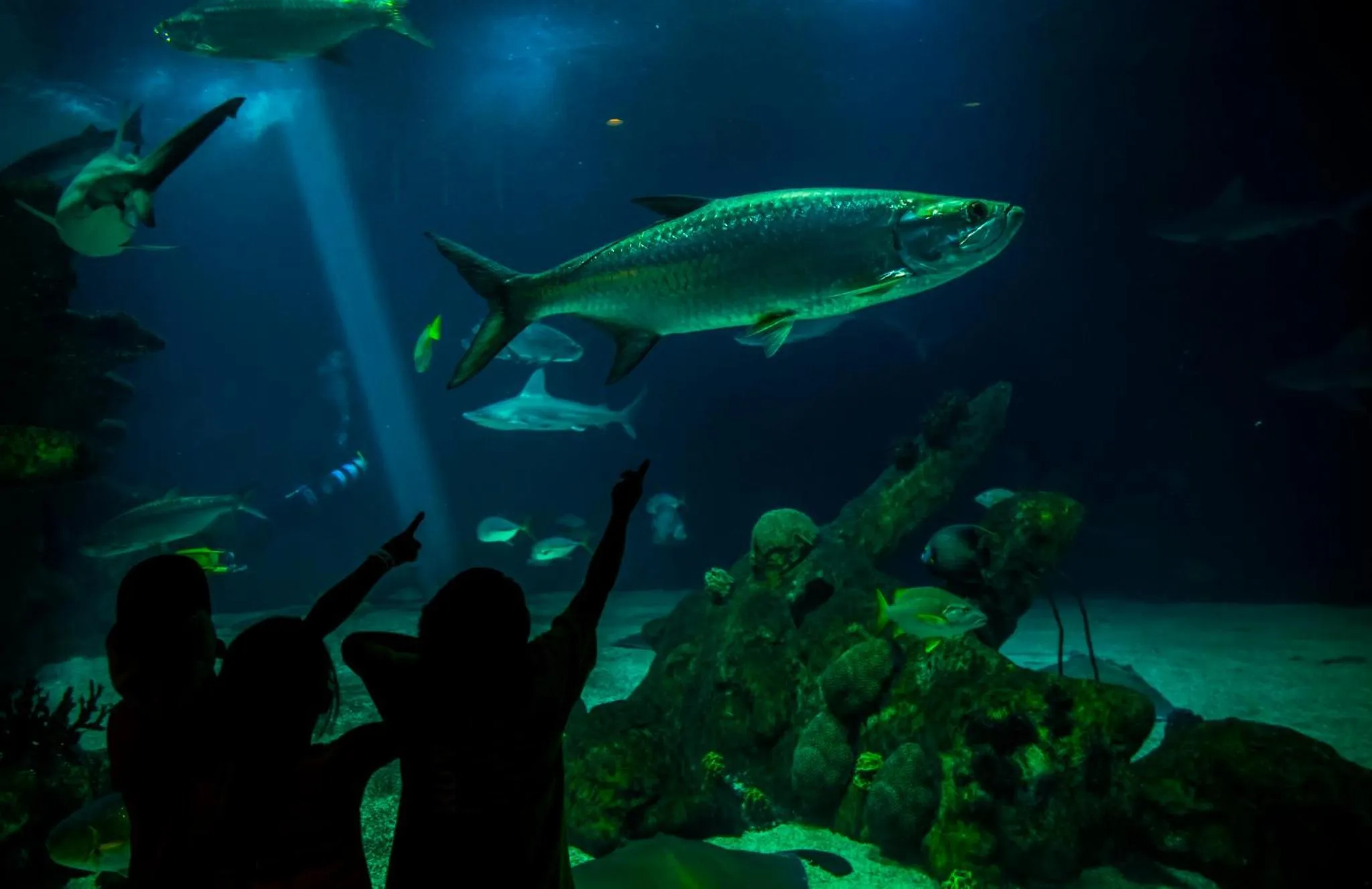 Nearby landmark in Holiday Inn Express & Suites Albuquerque Historic Old Town by IHG