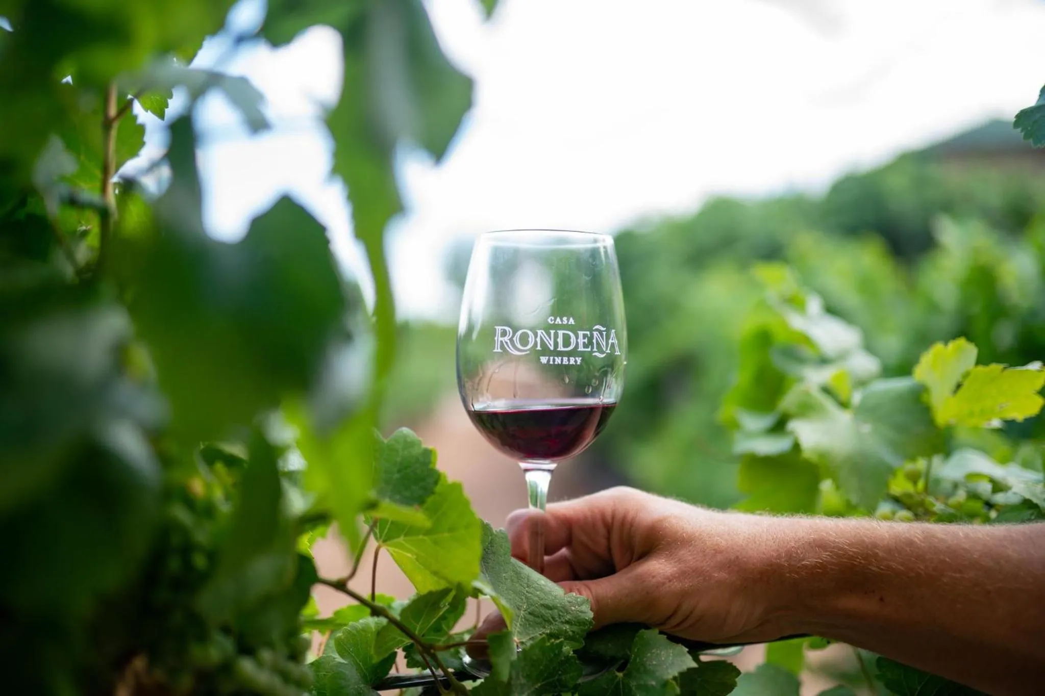 Nearby landmark in Holiday Inn Express & Suites Albuquerque Historic Old Town by IHG