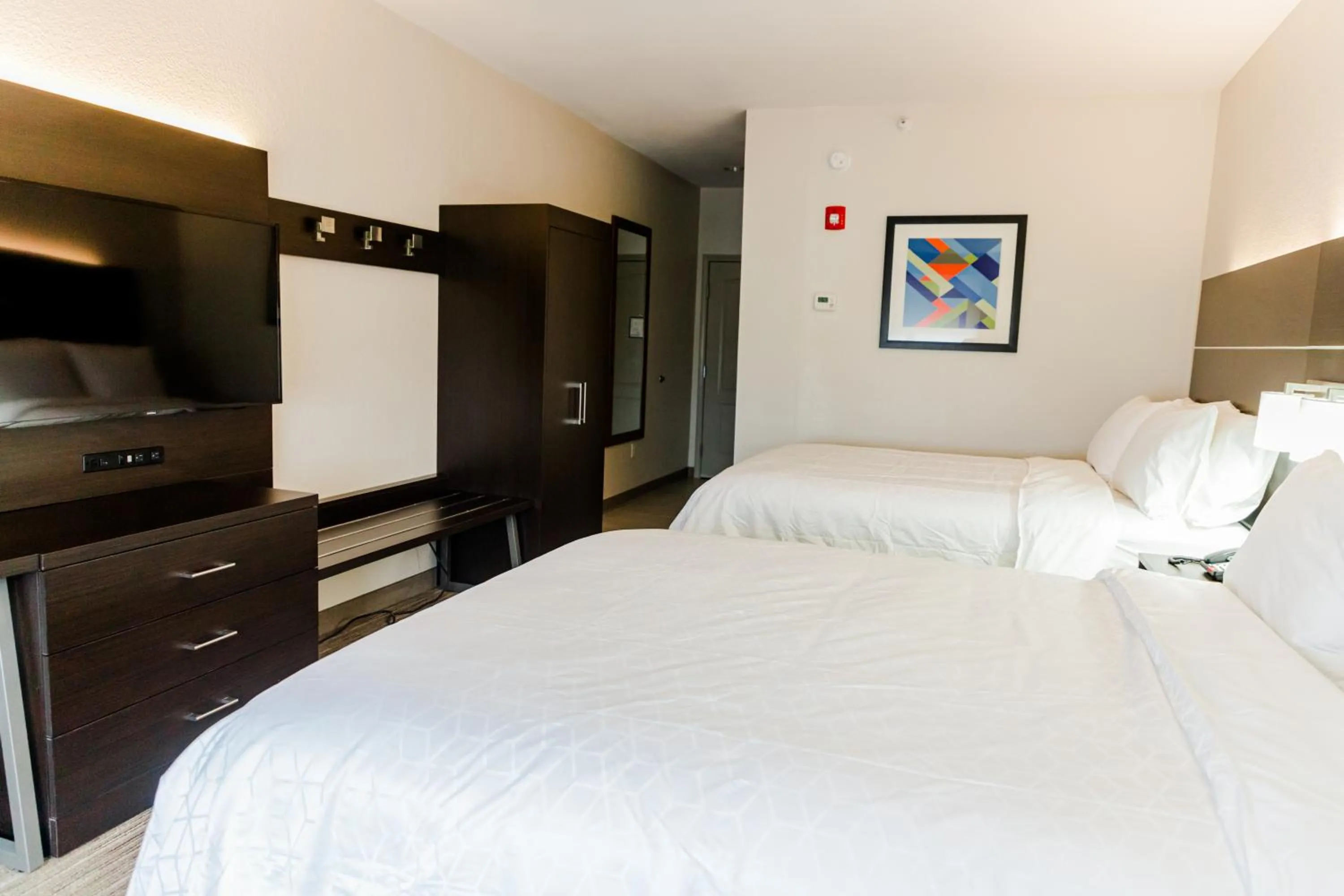 TV and multimedia, Bed in Holiday Inn Express Hotel & Suites Greenville by IHG