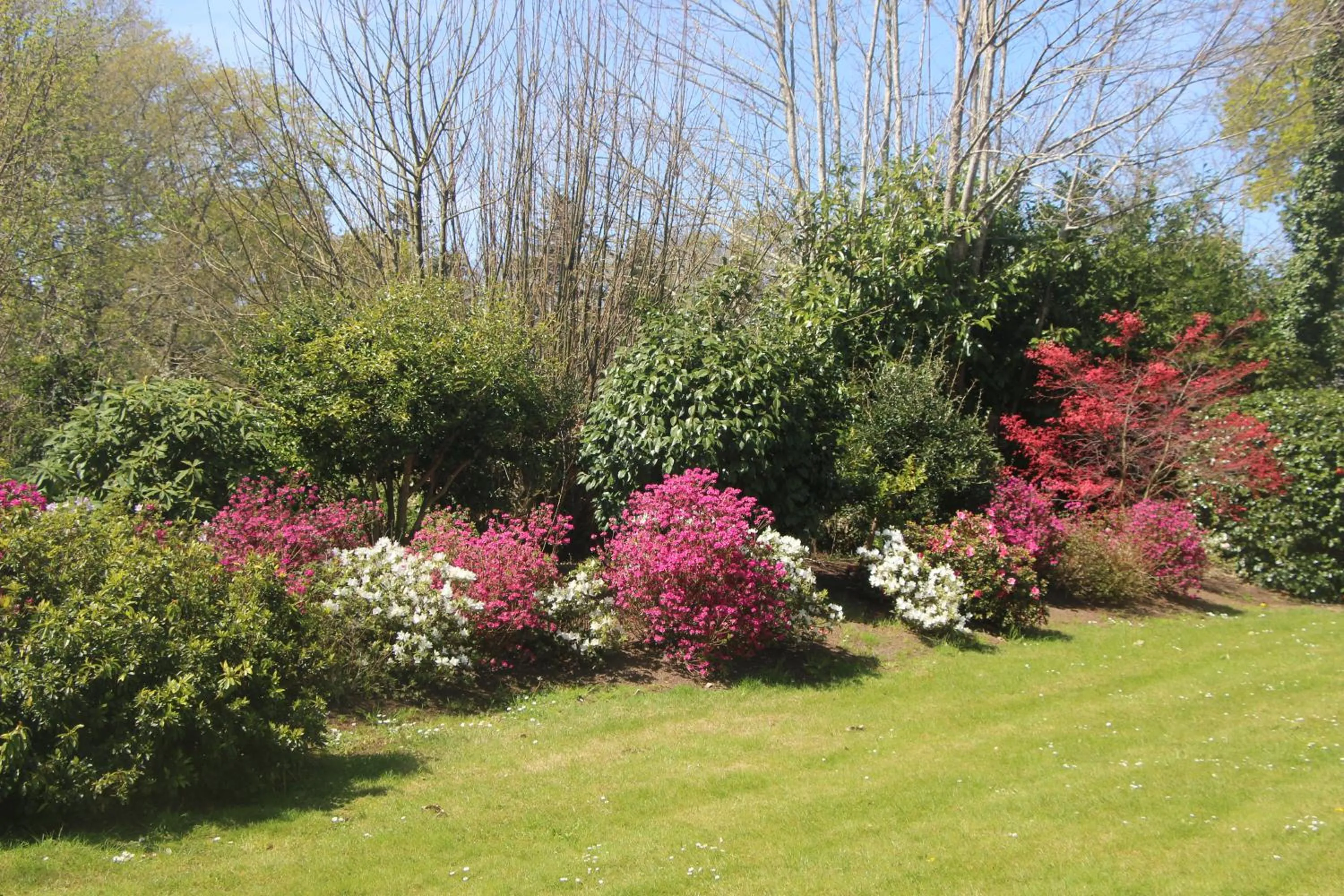 Garden in La maison de l'Odet