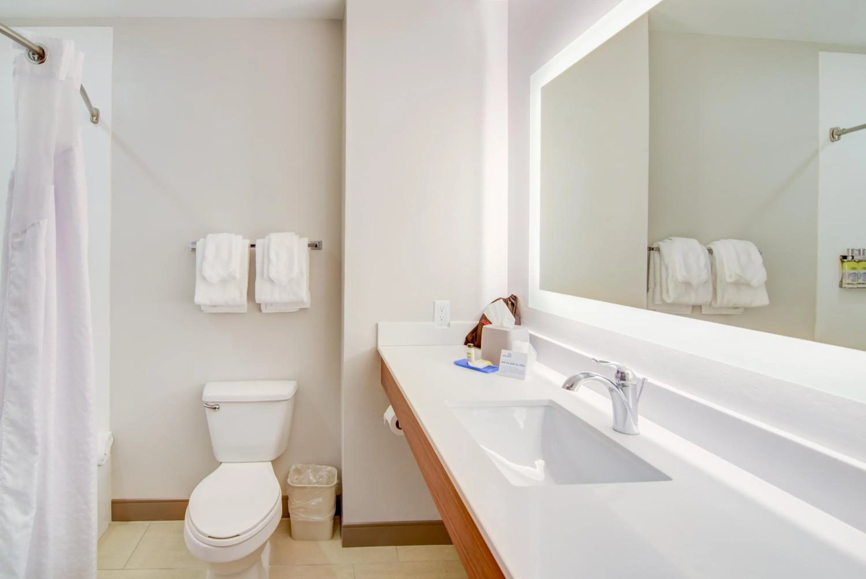 Bathroom in Holiday Inn Express Hotel & Suites Foley by IHG