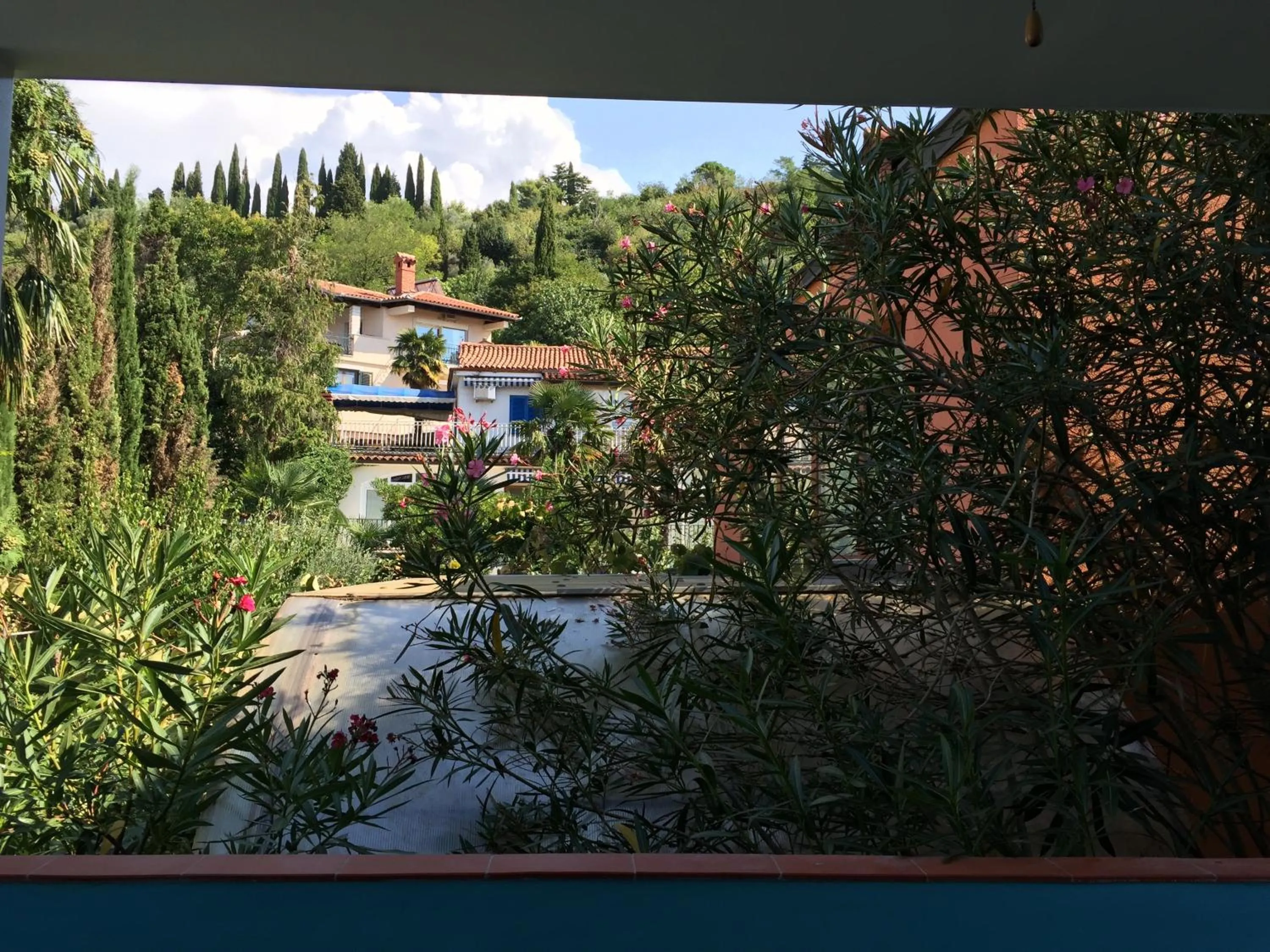 Natural landscape in Apartments Vela