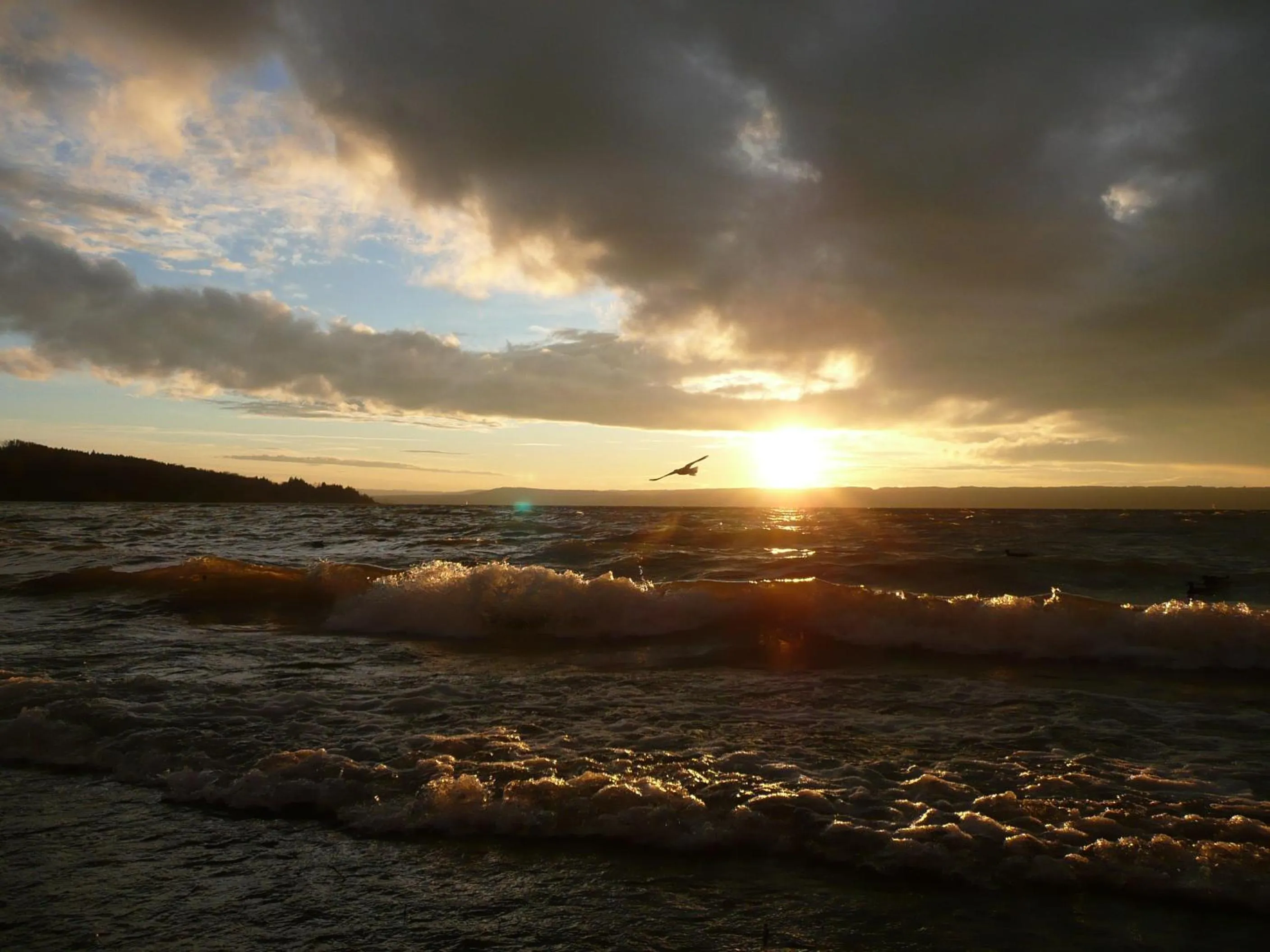 Area and facilities in Romantik Hotel Chalet am Kiental