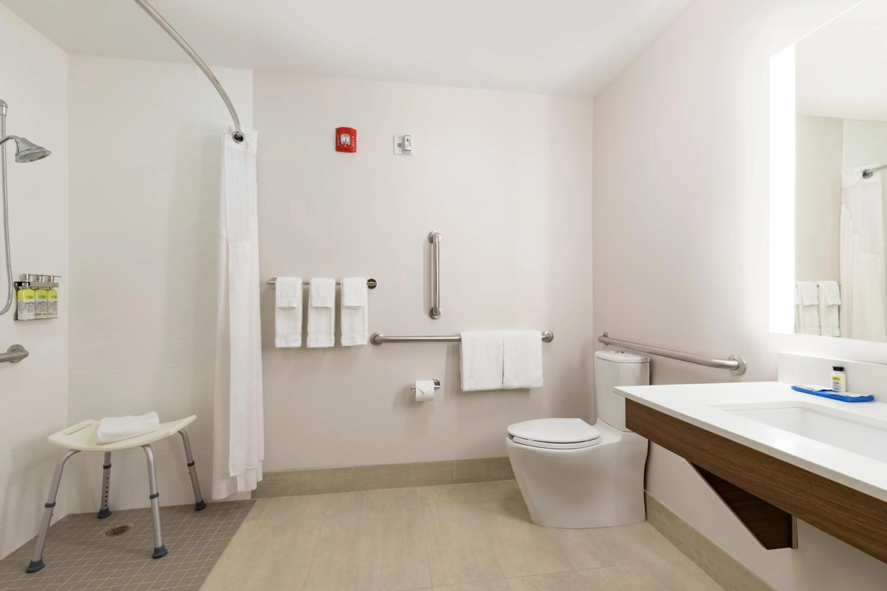 Bathroom in Holiday Inn Express Hotel & Suites Mount Pleasant - Charleston by IHG