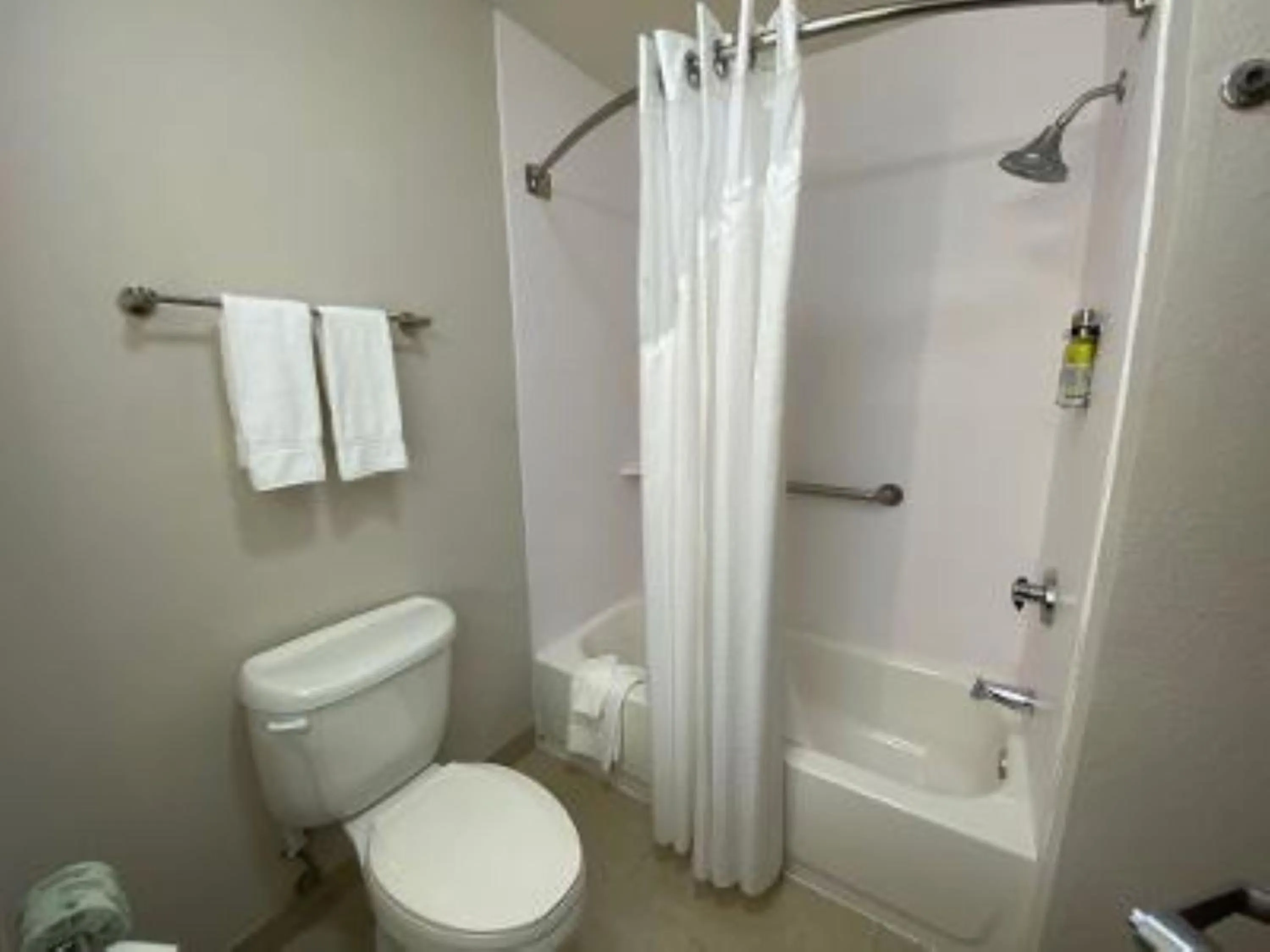 Bathroom in Holiday Inn Express Hotel & Suites- Gadsden by IHG