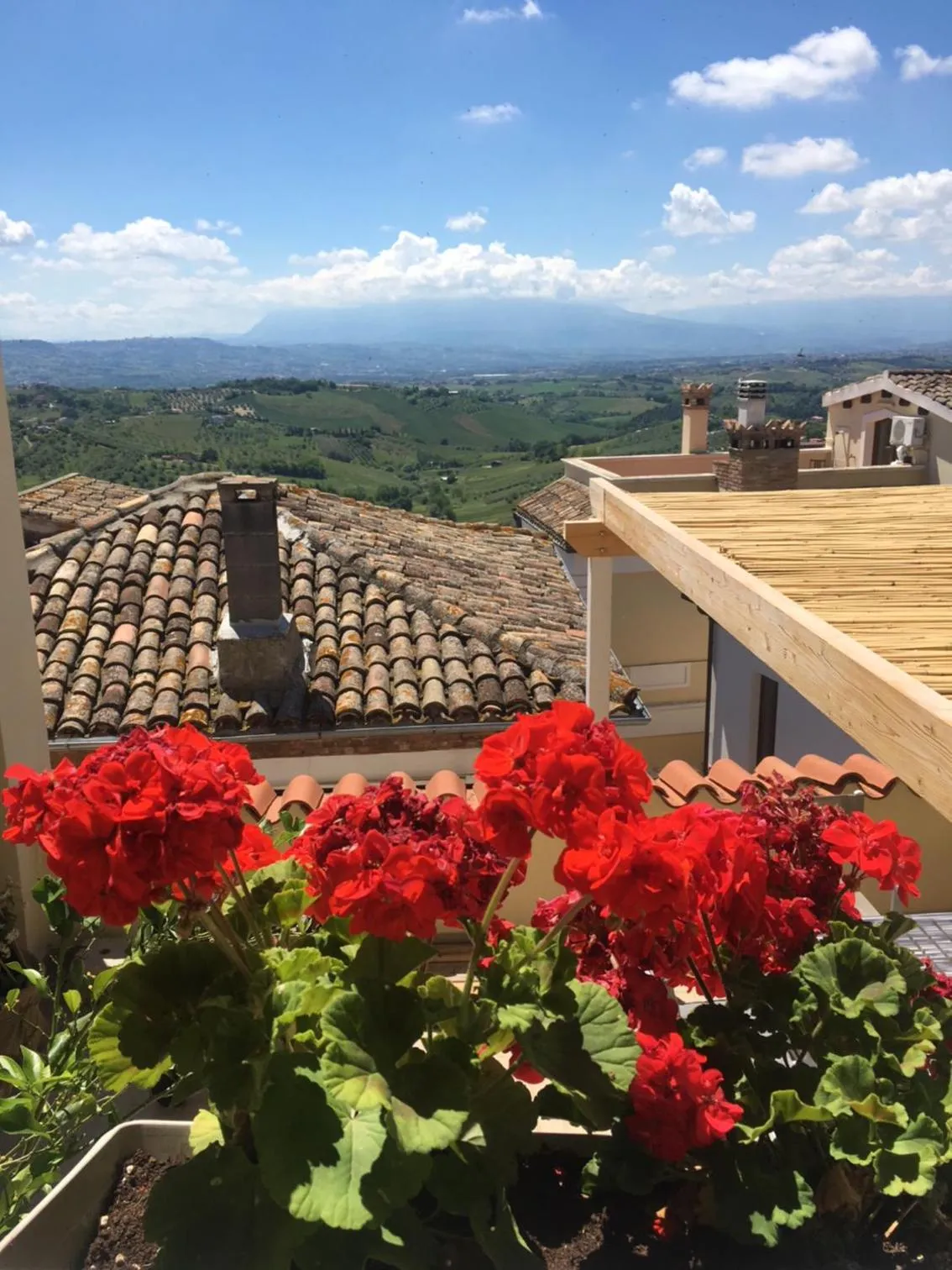 City view in BellaVista Bike Stop