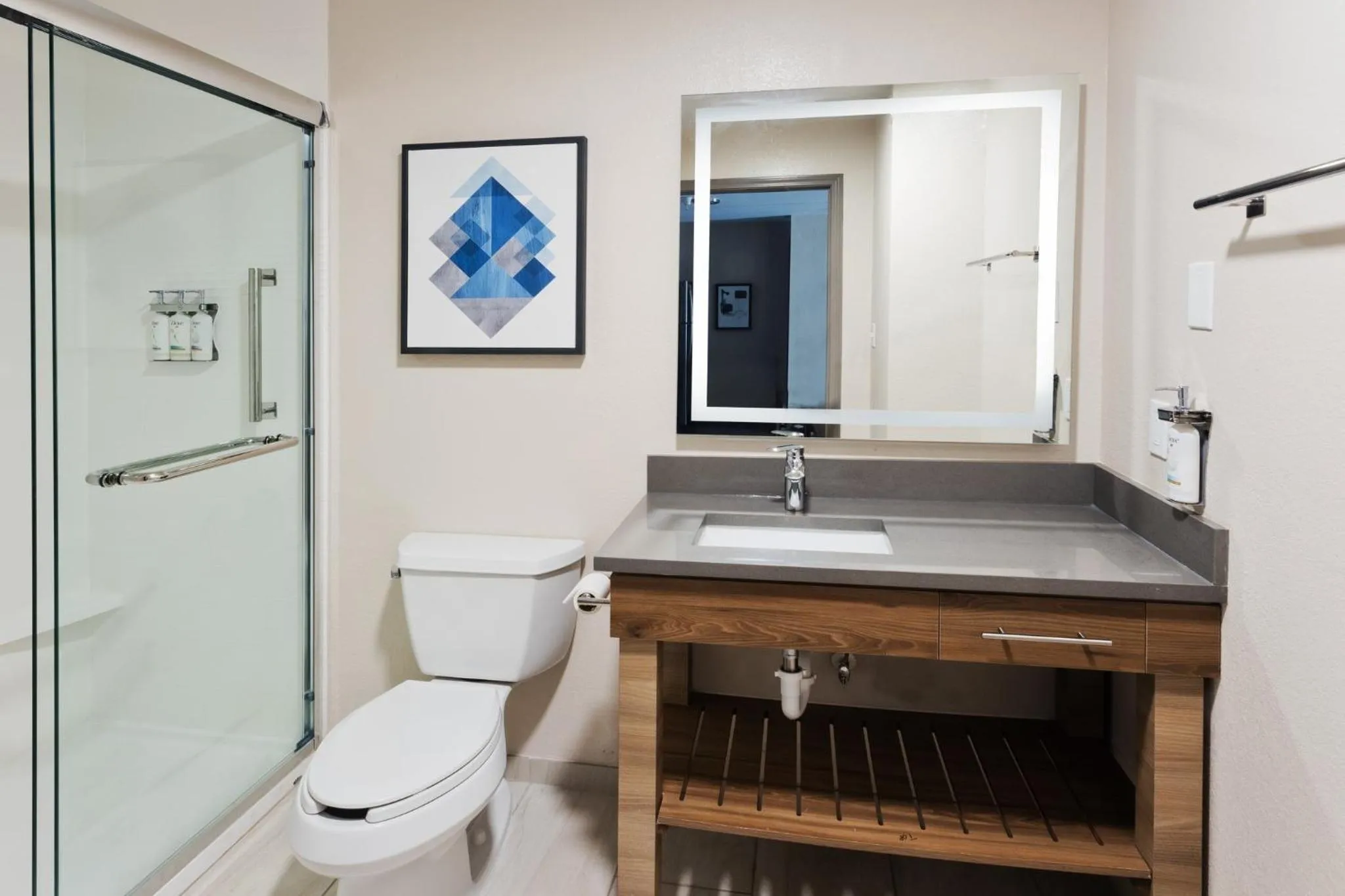 Bathroom in Candlewood Suites Eastchase Park by IHG