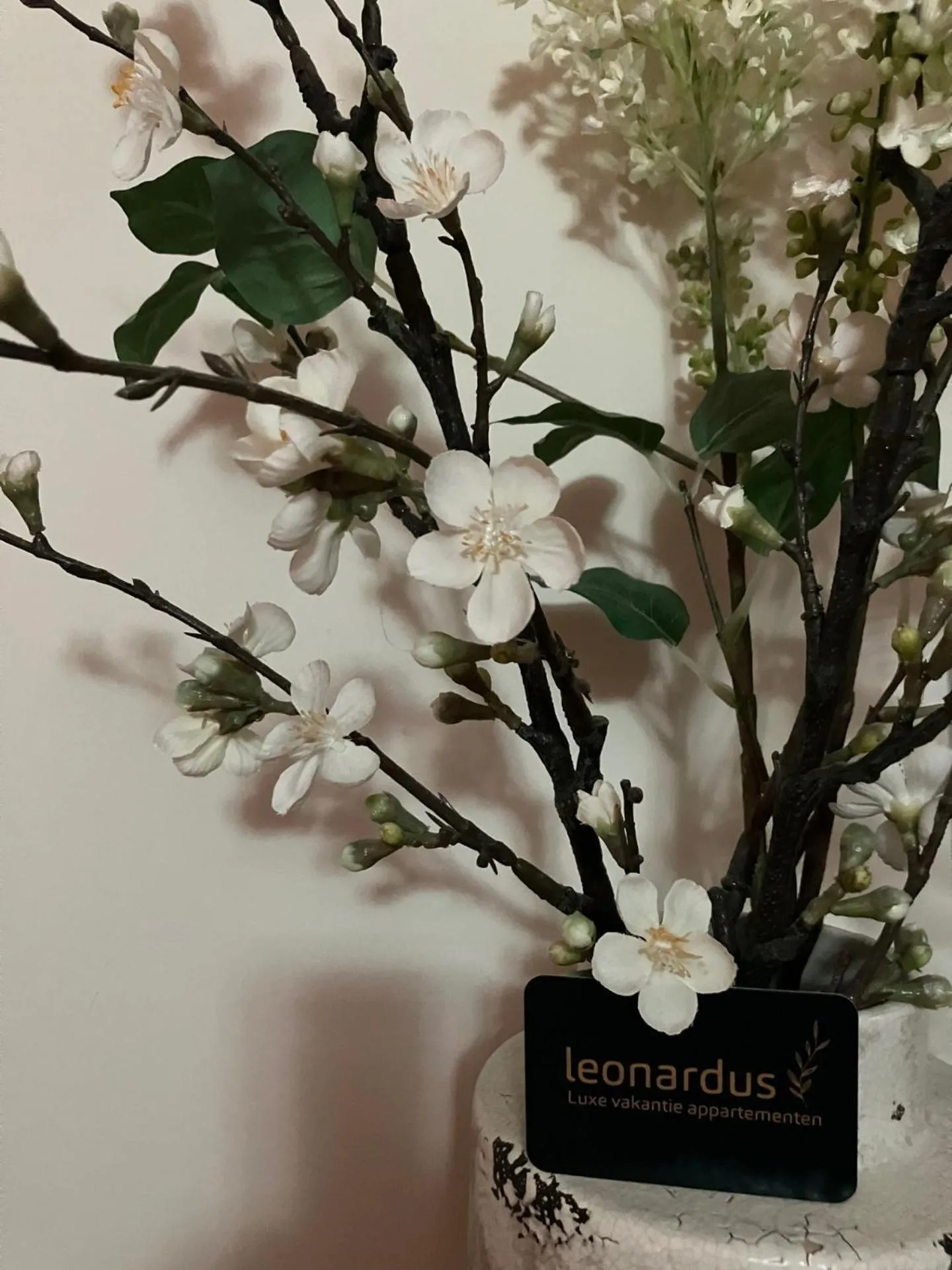 Luxe Appartementen Leonardus