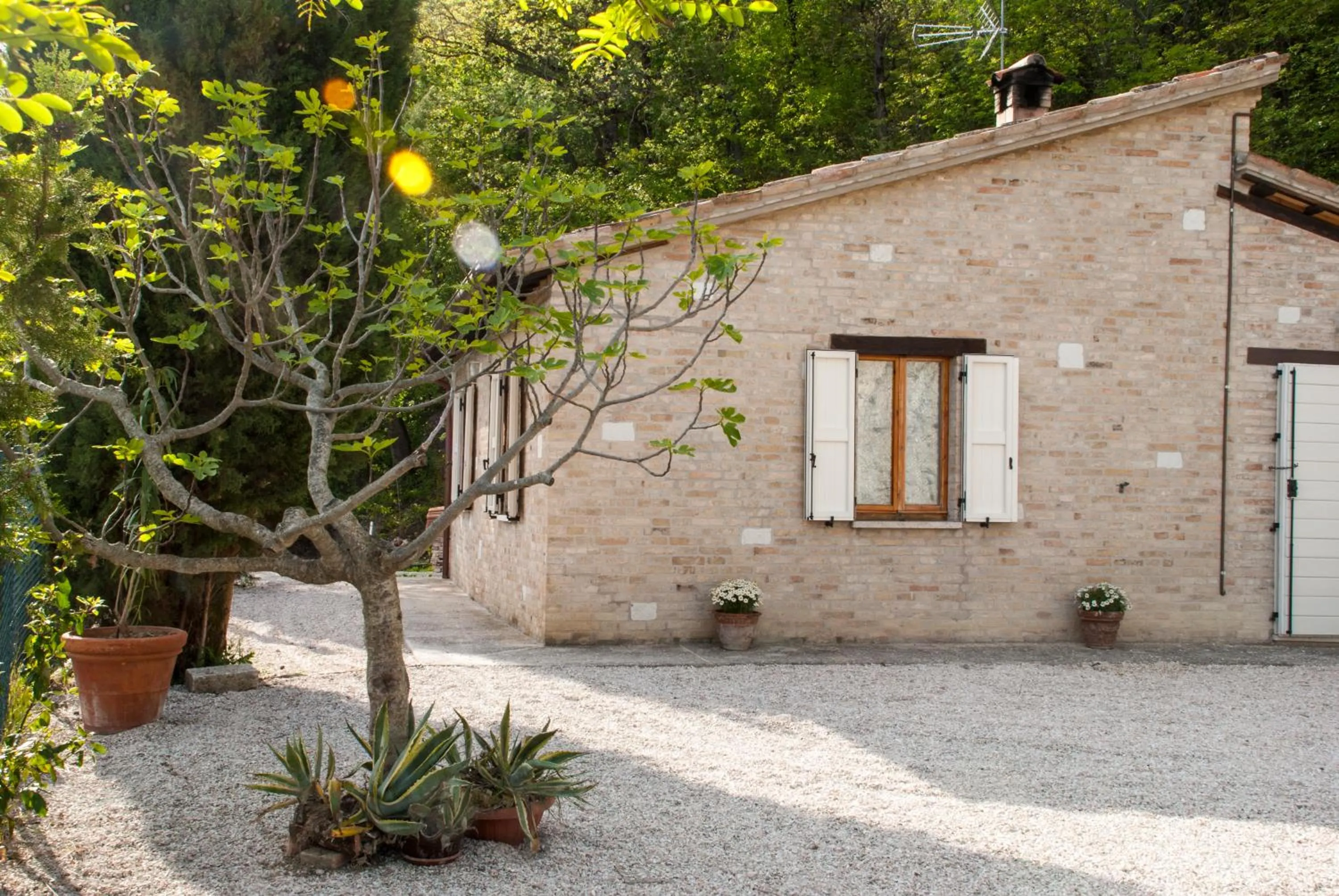 Property building in Calmancino delle Selve