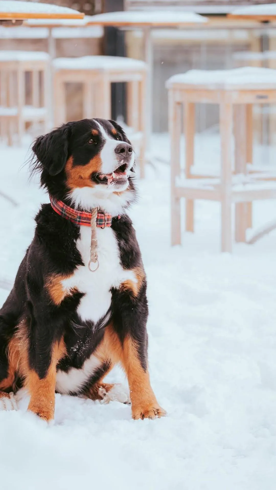 Activities in Hotel Peter