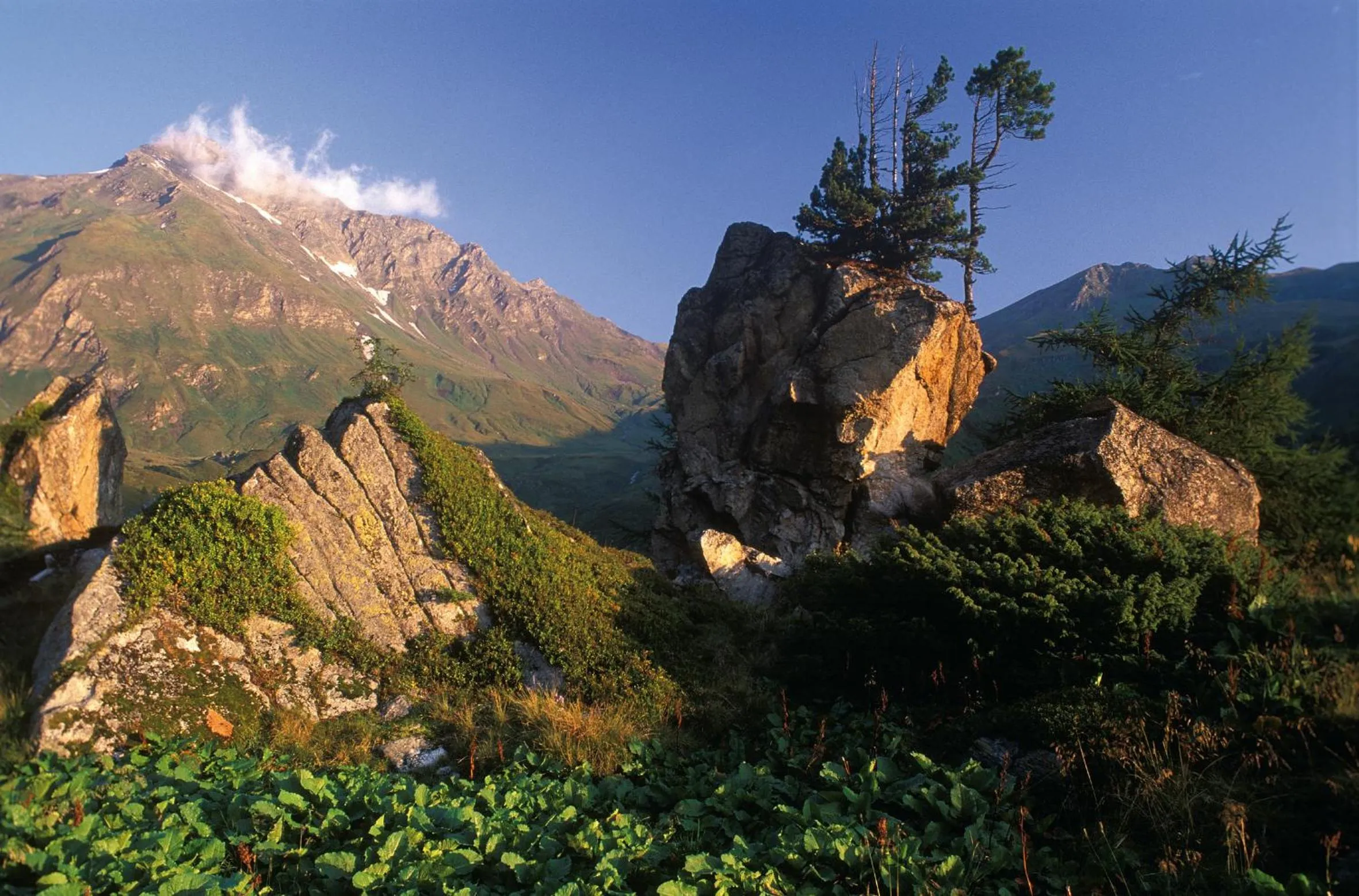 Natural landscape in Ferienhotel Alber