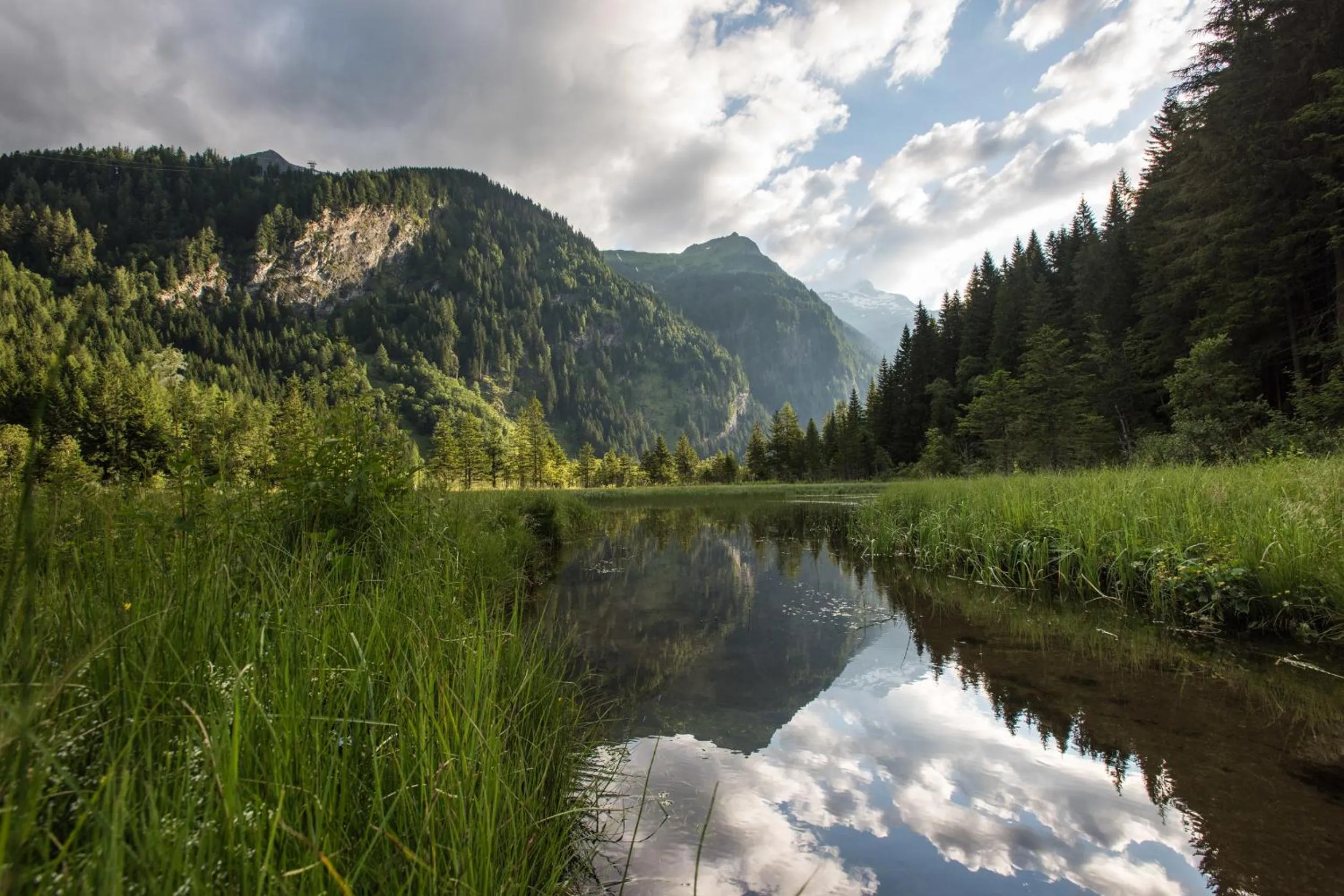 Natural landscape in Ferienhotel Alber