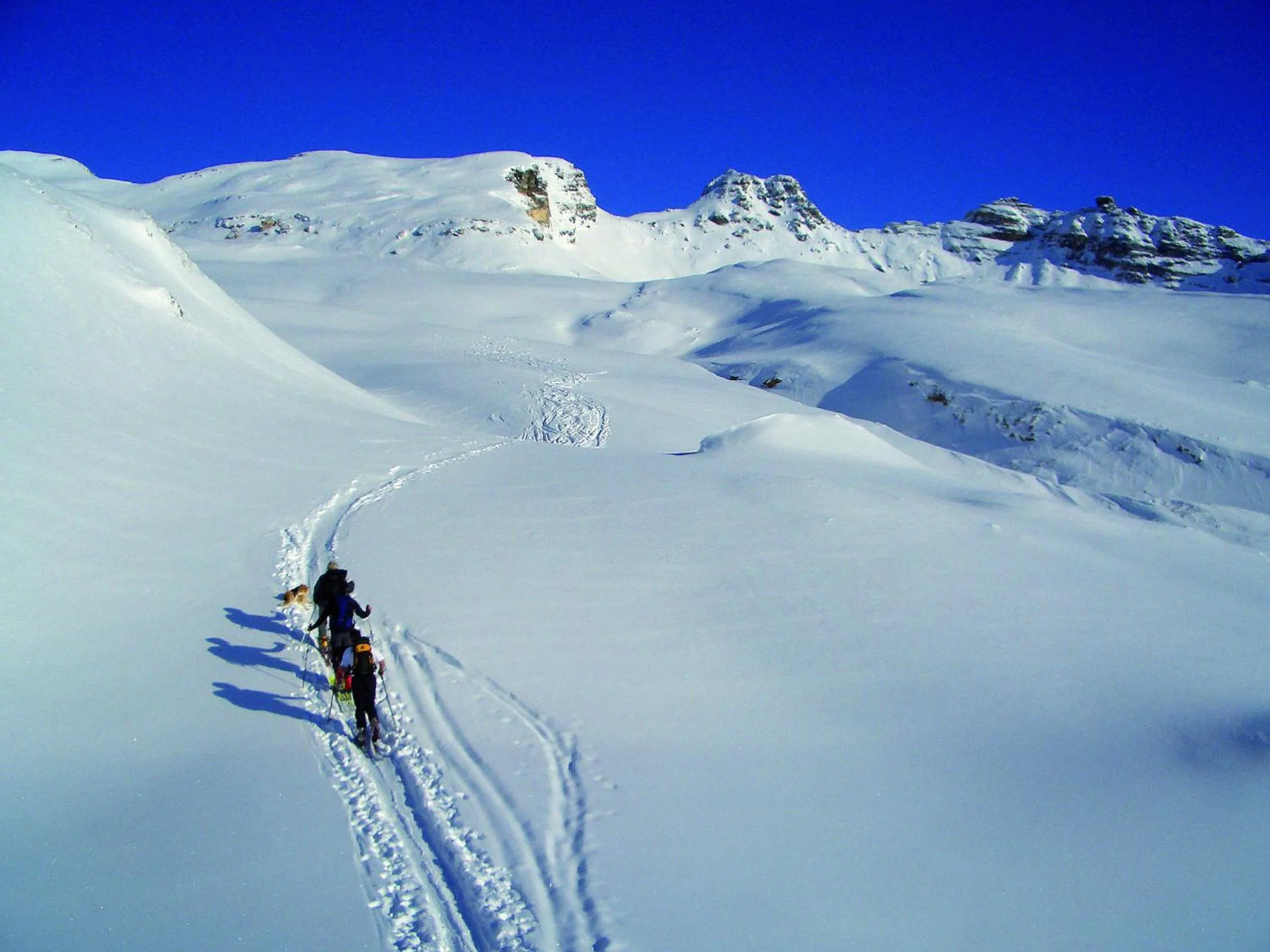Natural landscape in Ferienhotel Alber