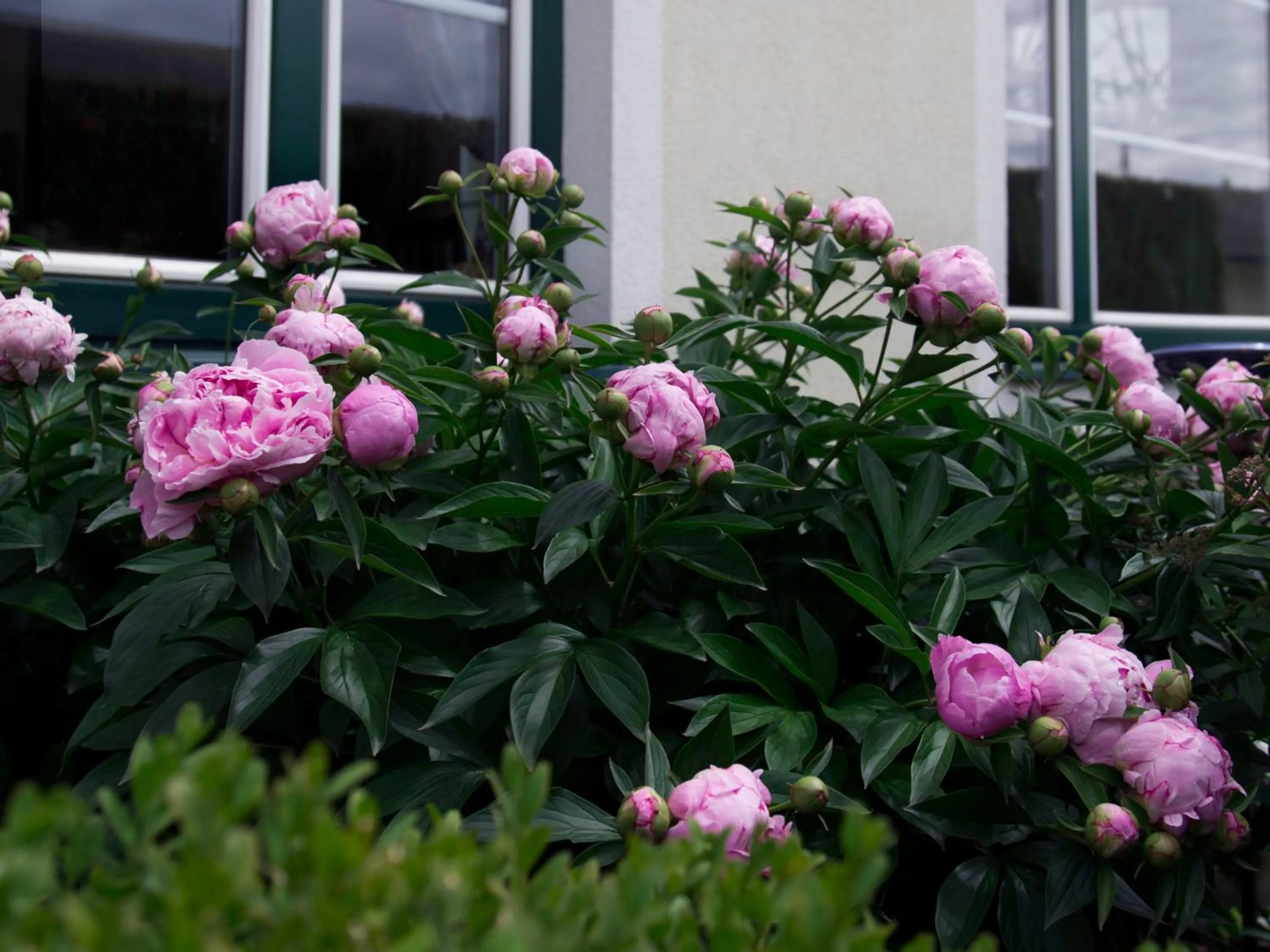 Other in Landhaus Pannonia