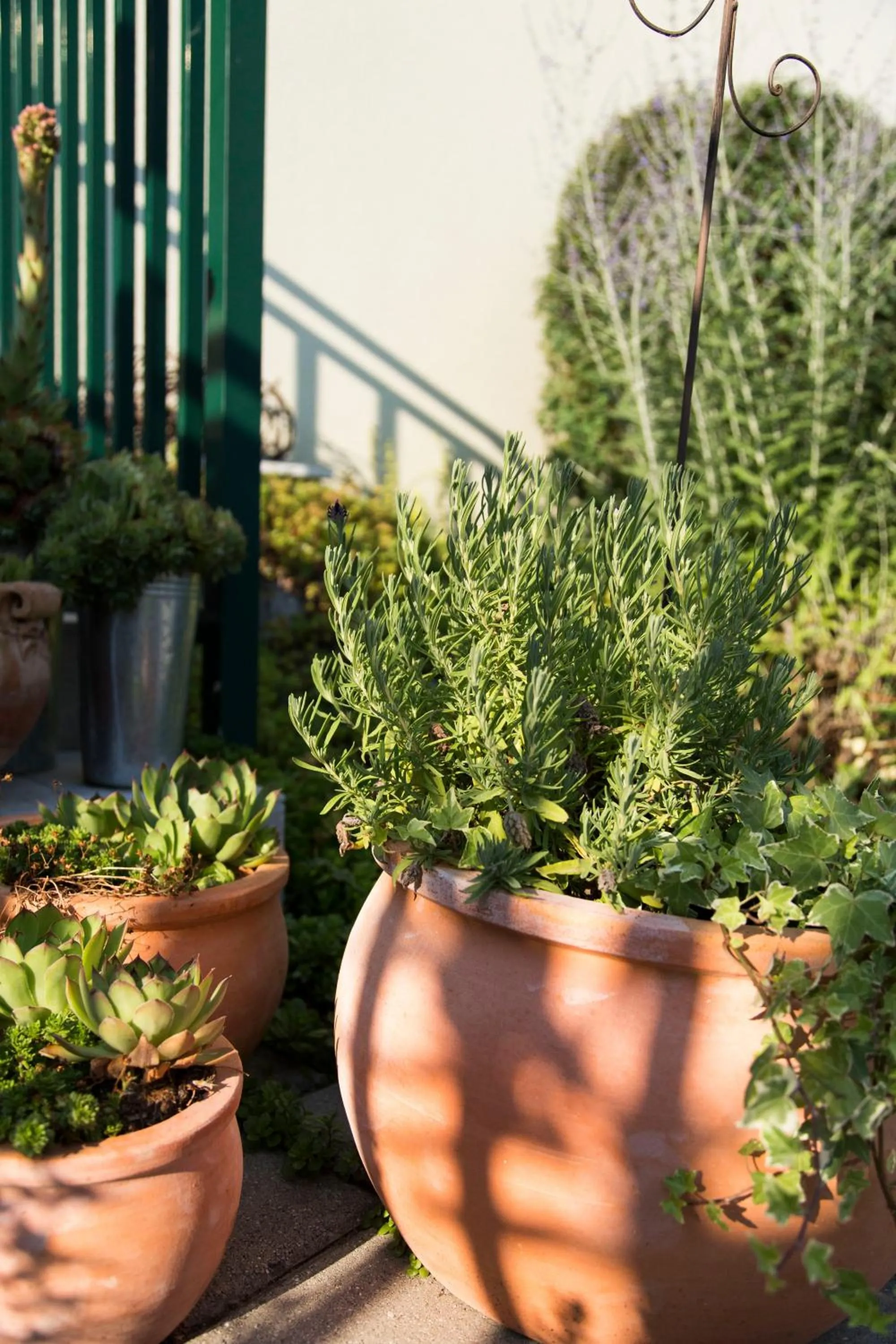 Decorative detail in Landhaus Pannonia