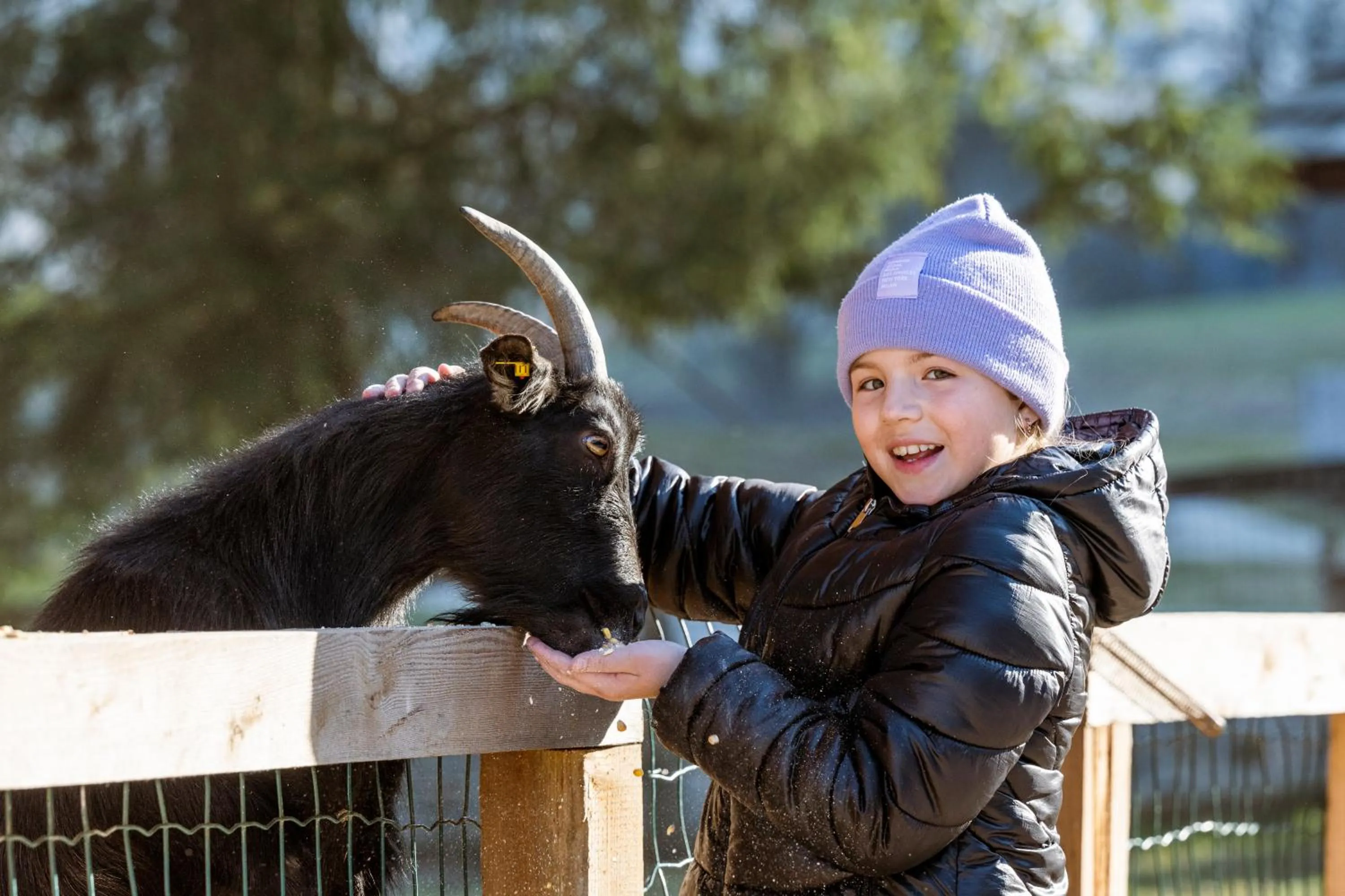 Children play ground in Gasthof Kleefeld