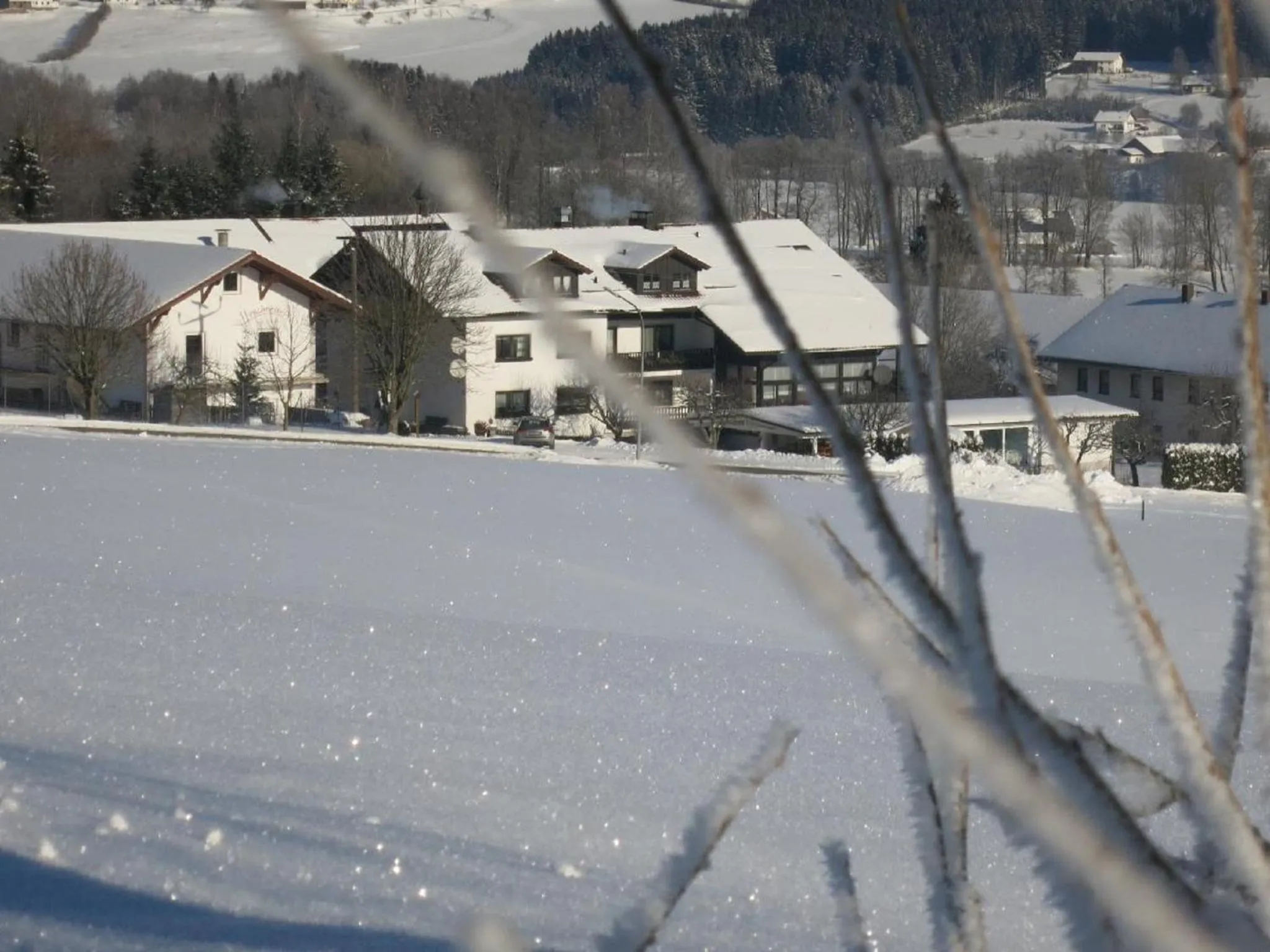 Natural landscape in Hotel Hirschenstein
