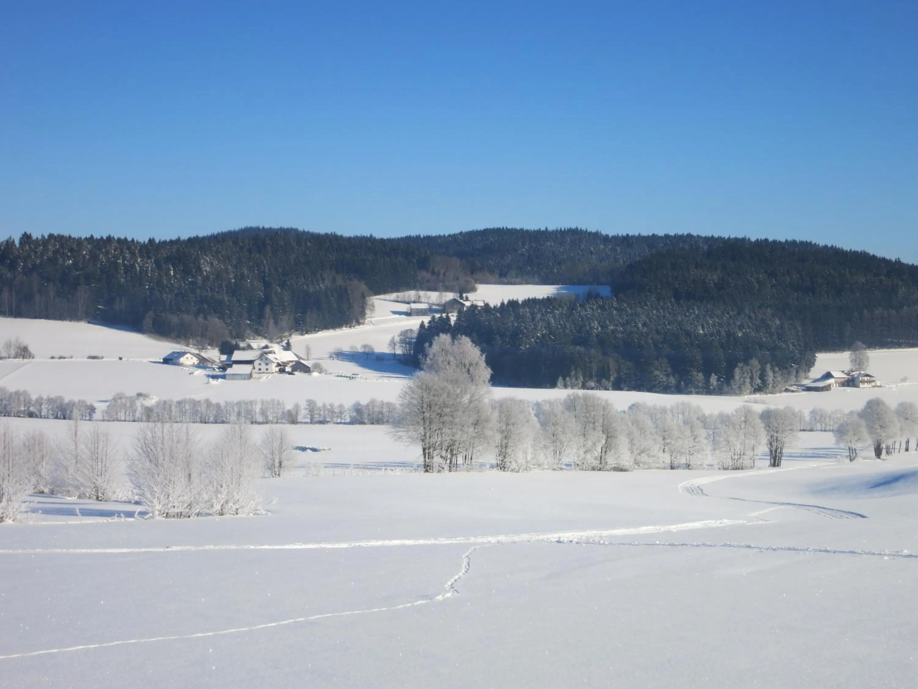 Skiing in Hotel Hirschenstein