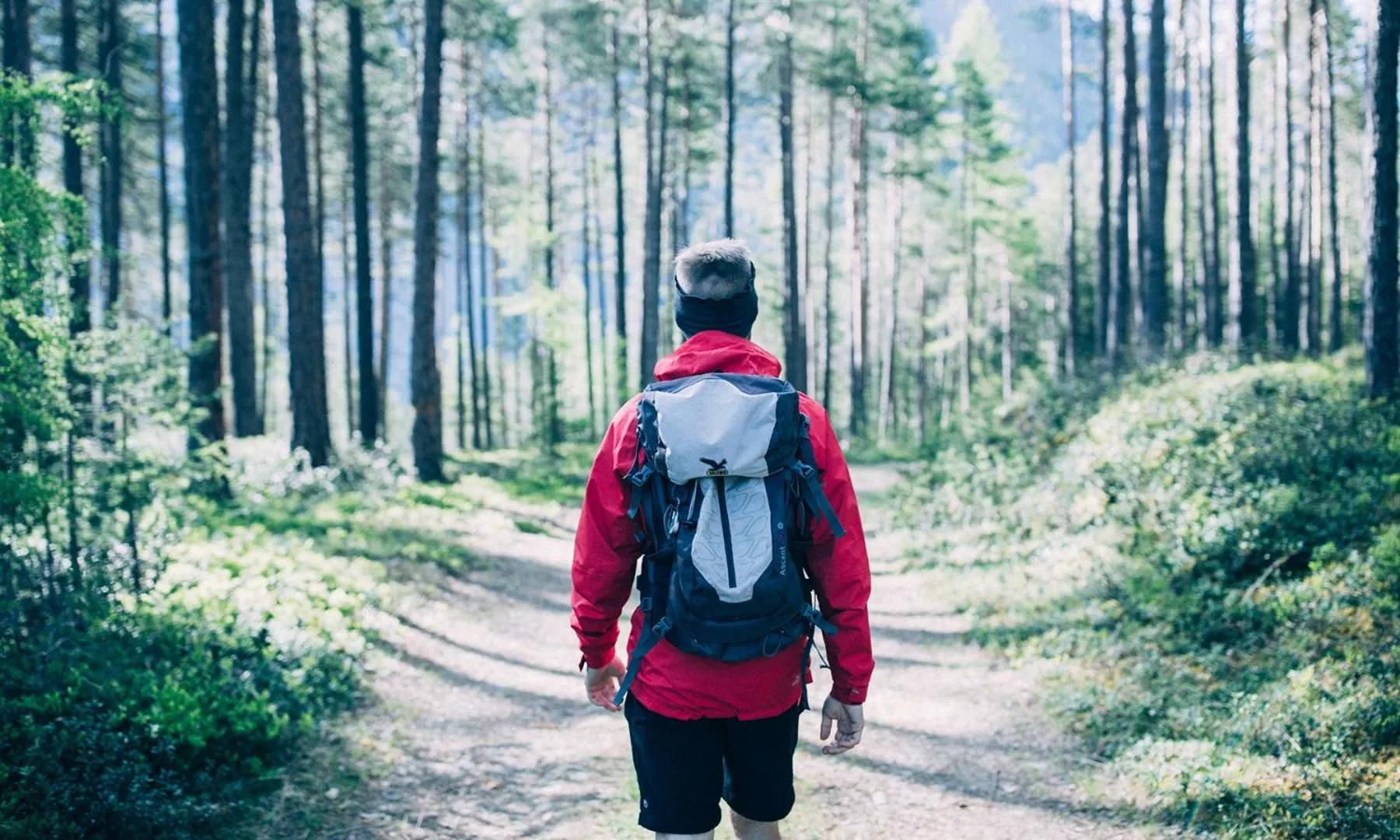 Summer in Hotel Falknerhof