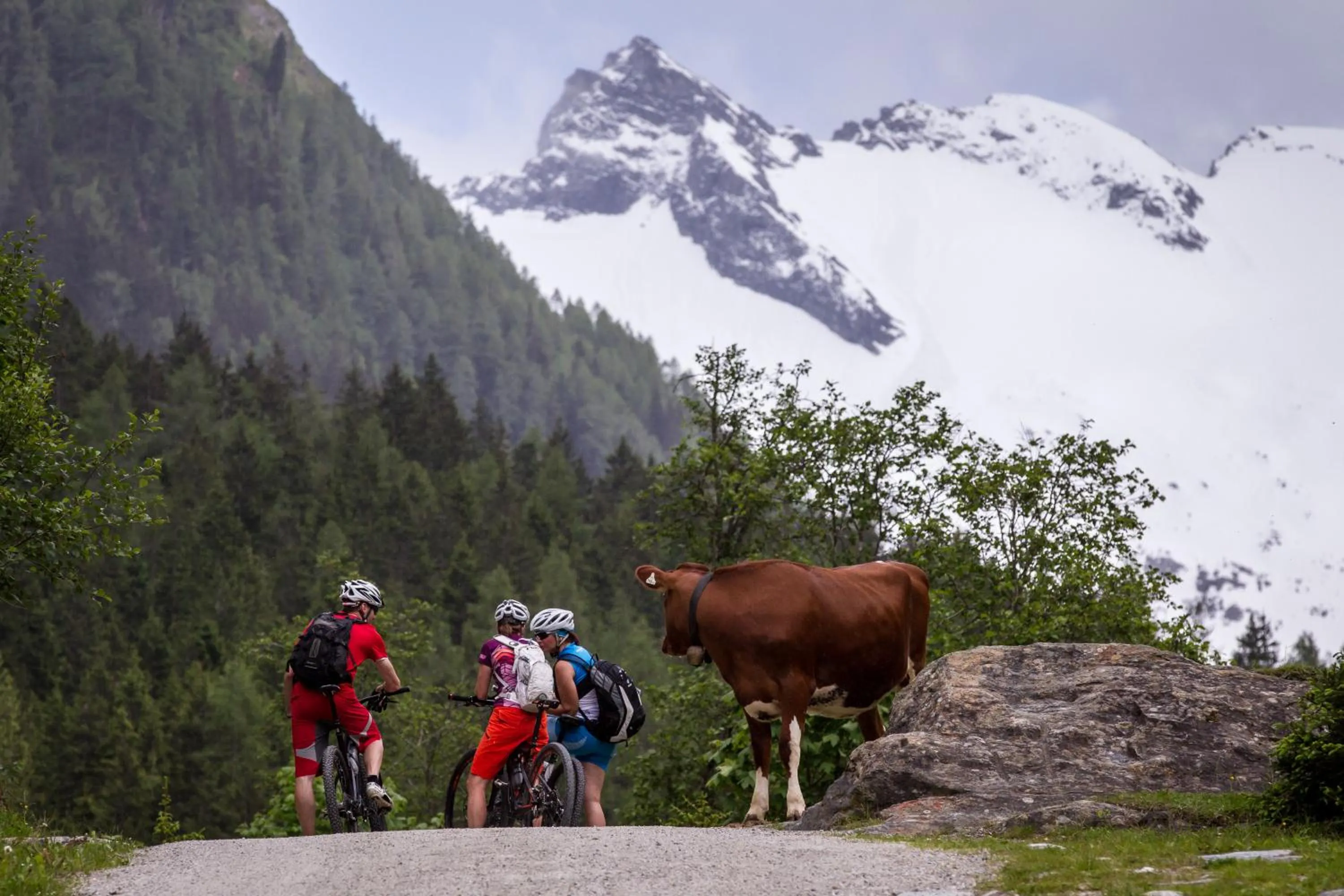Natural landscape in Smaragdhotel Tauernblick