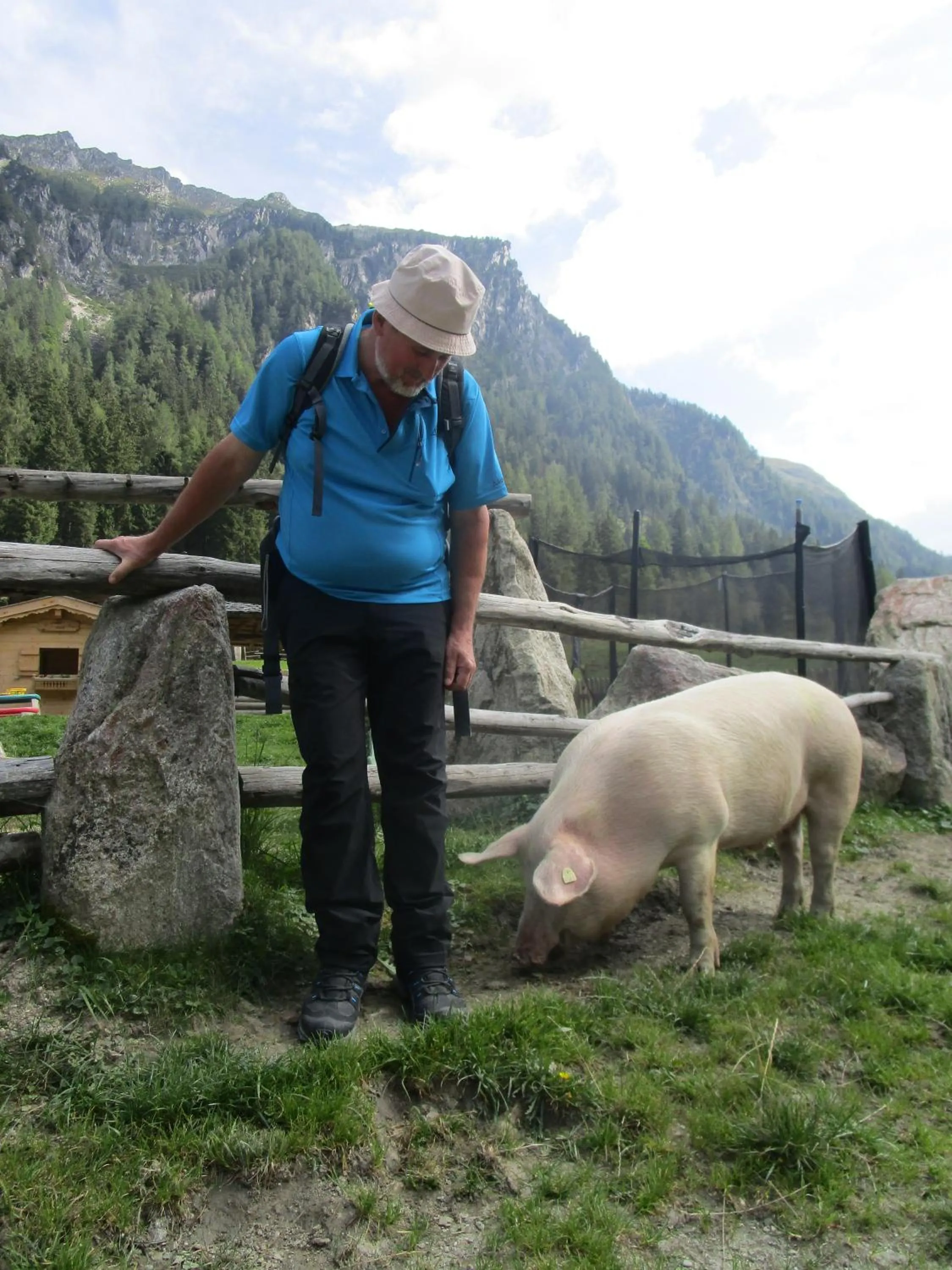 Animals in Smaragdhotel Tauernblick