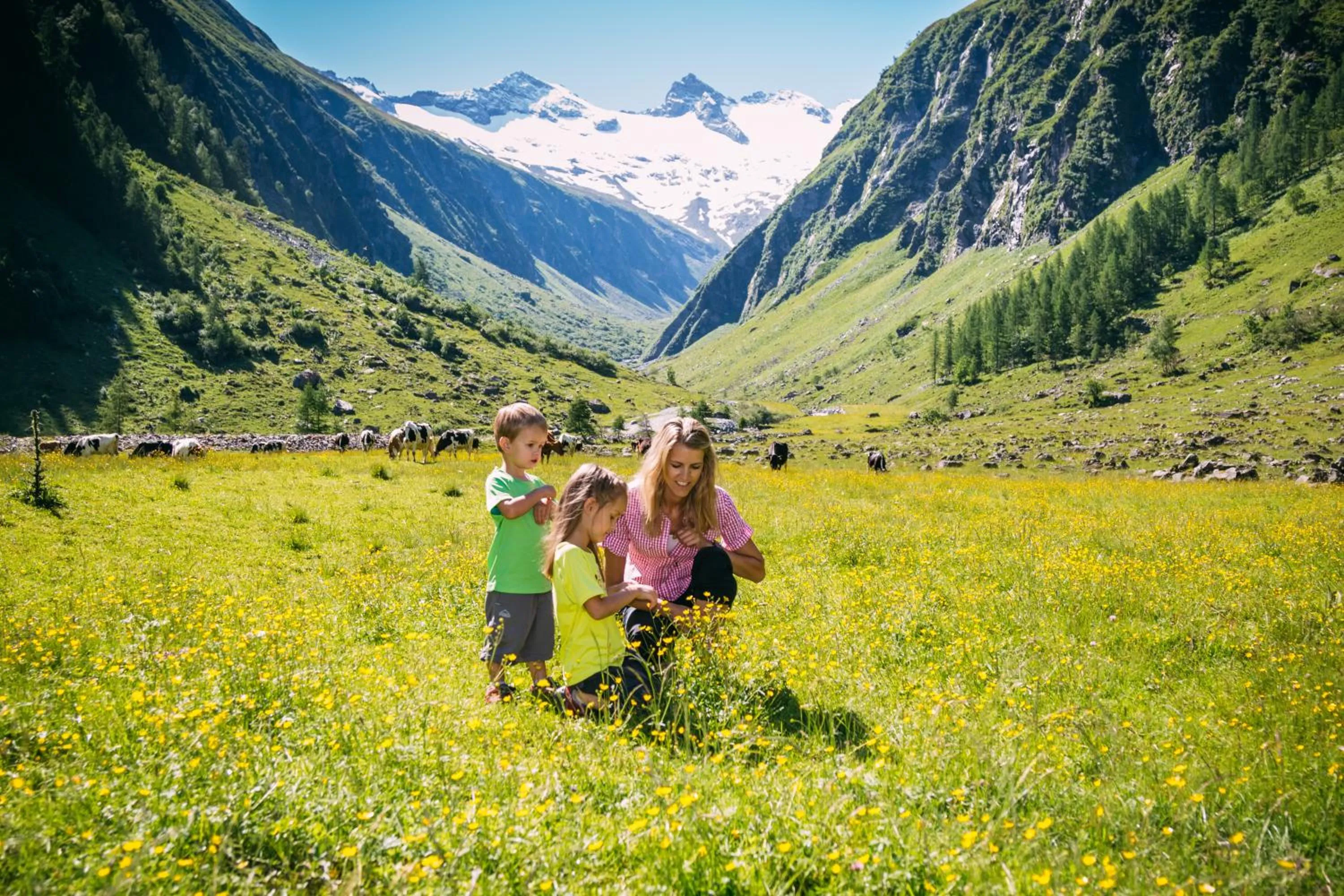 Natural landscape in Smaragdhotel Tauernblick