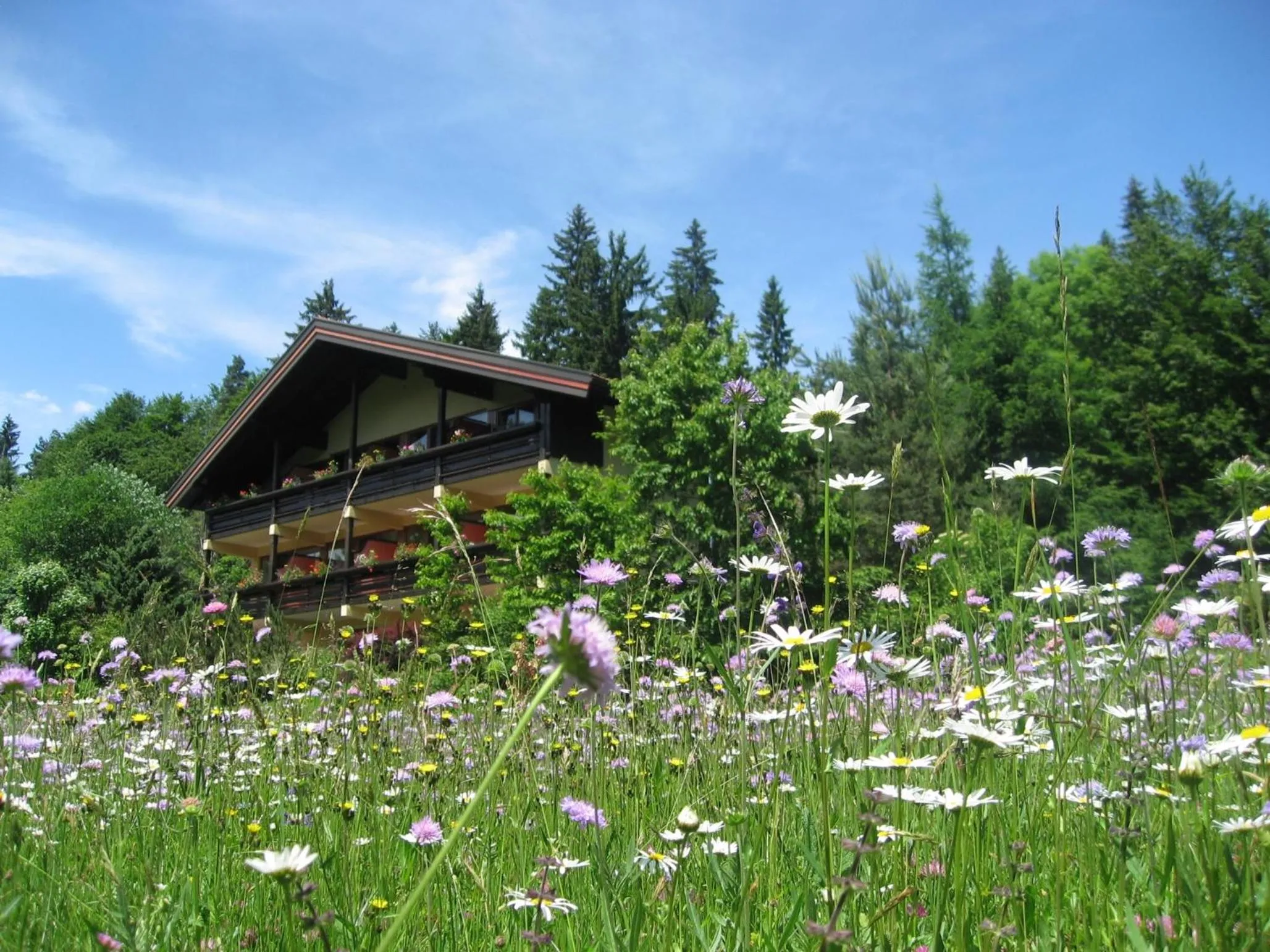 Property building in Landhaus Schreier