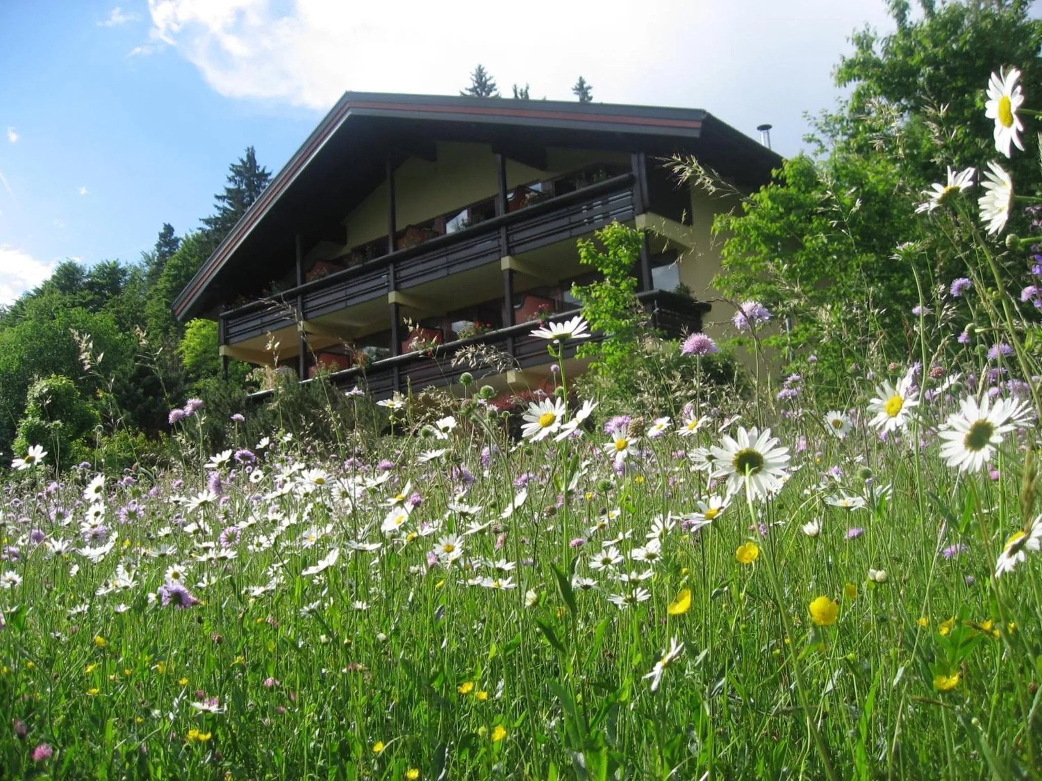 Property building in Landhaus Schreier