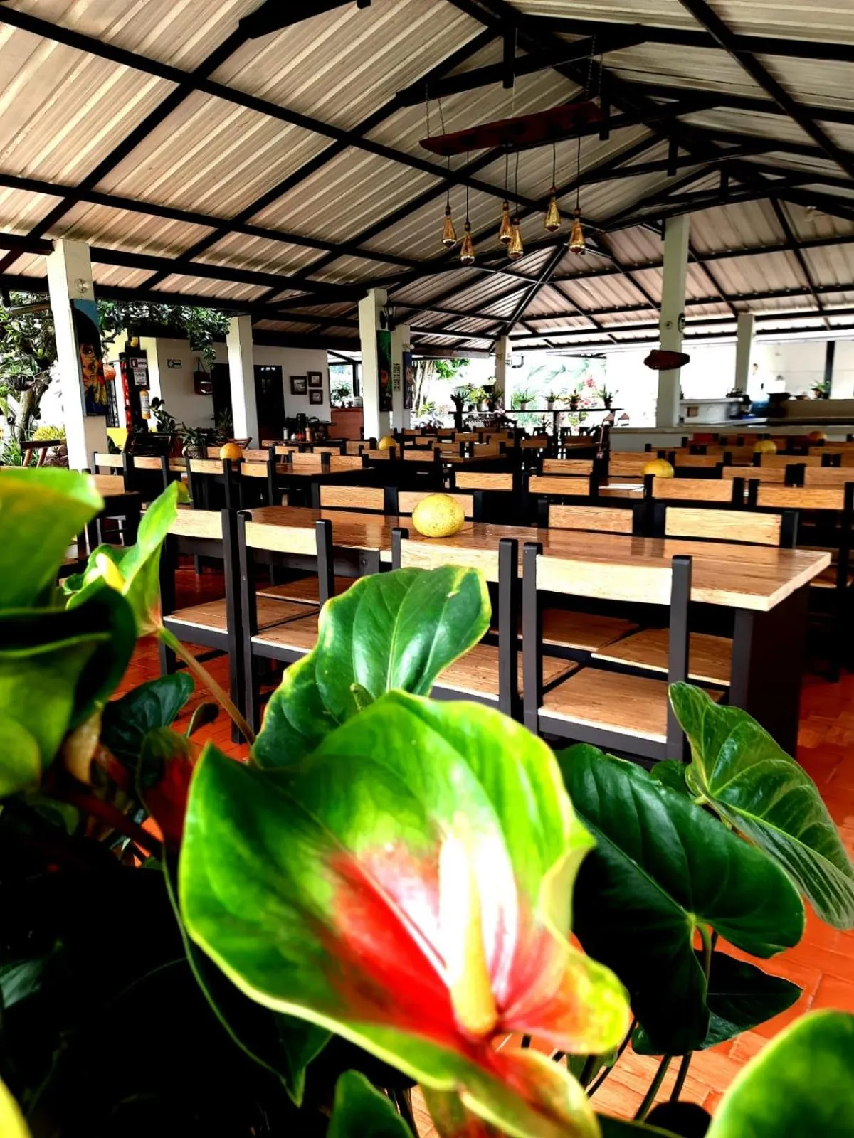 Restaurant/places to eat in Hotel Campestre El Triunfo