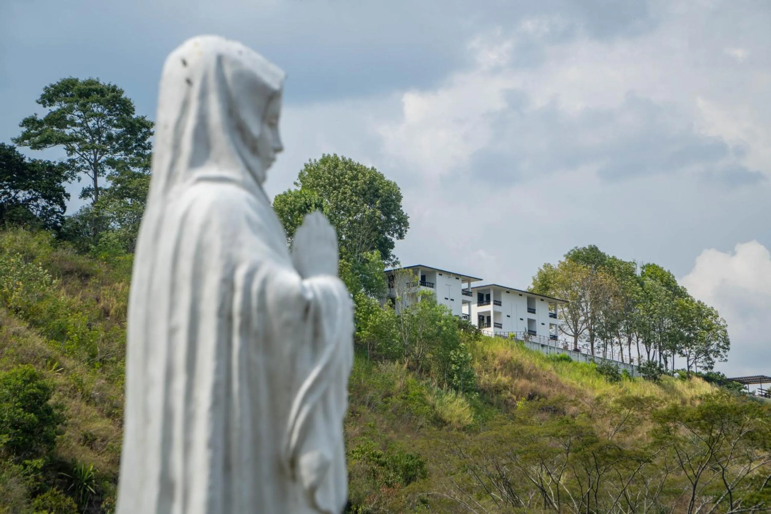 Natural landscape in Hotel Campestre El Triunfo