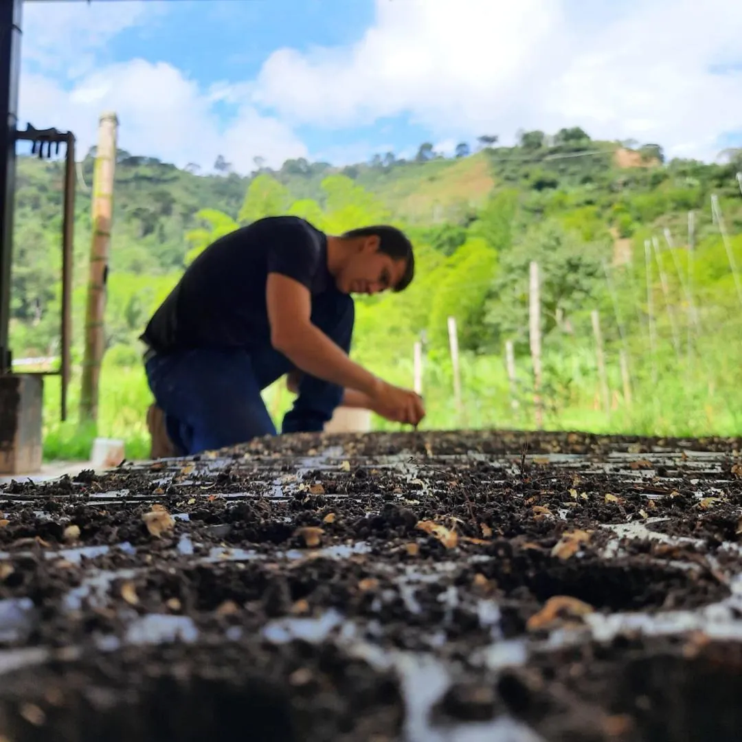 Natural landscape in Hotel Campestre El Triunfo