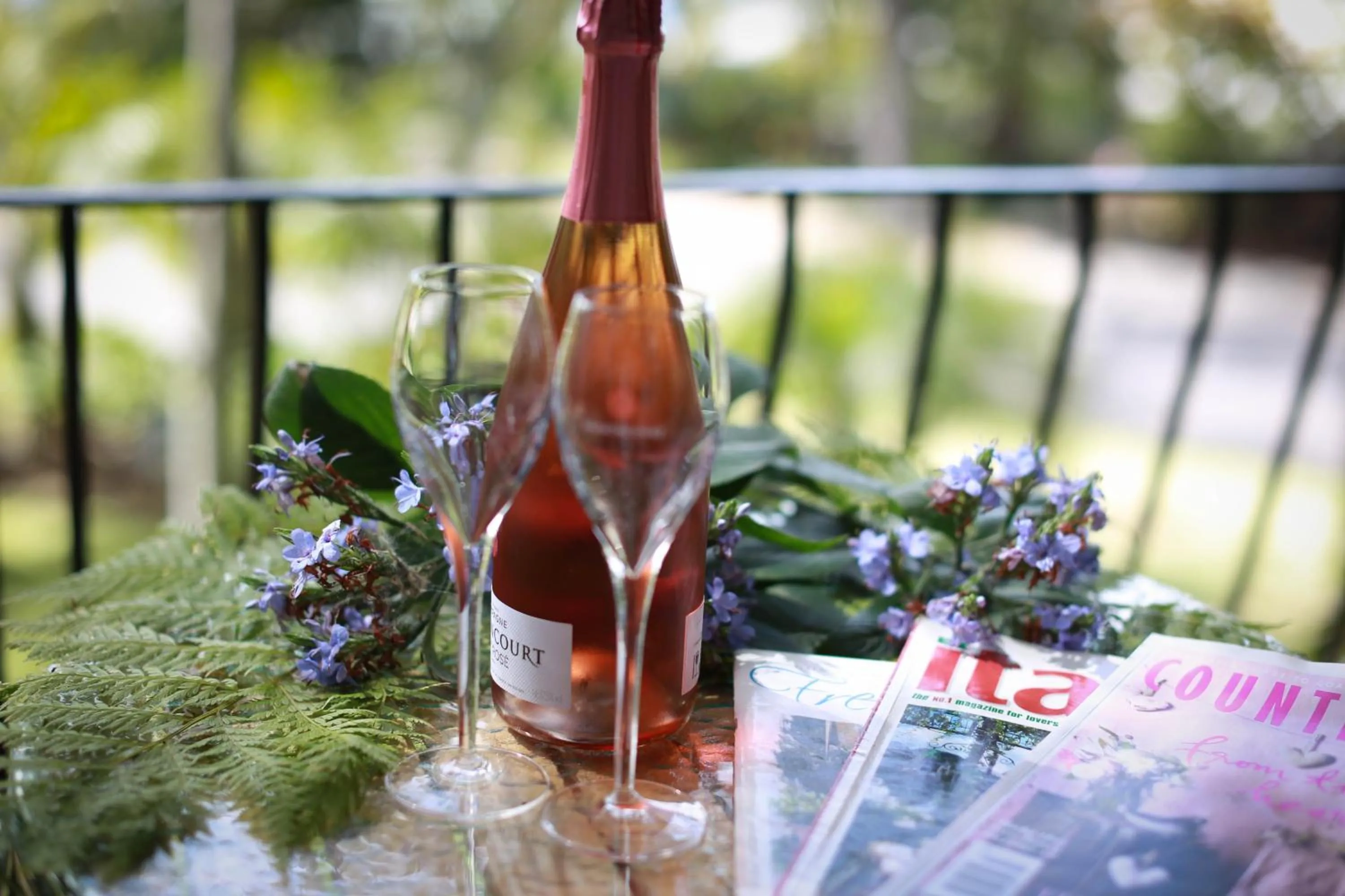 Balcony/Terrace in Palm Beach Bed & Breakfast