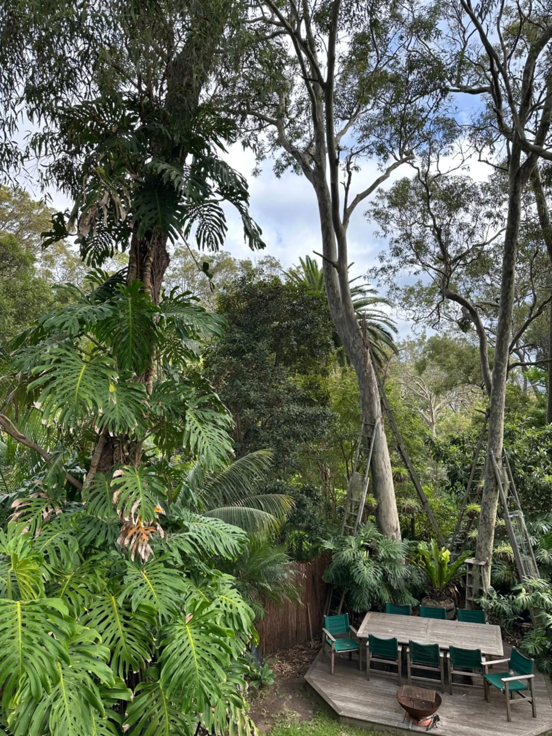Garden view in Palm Beach Bed & Breakfast