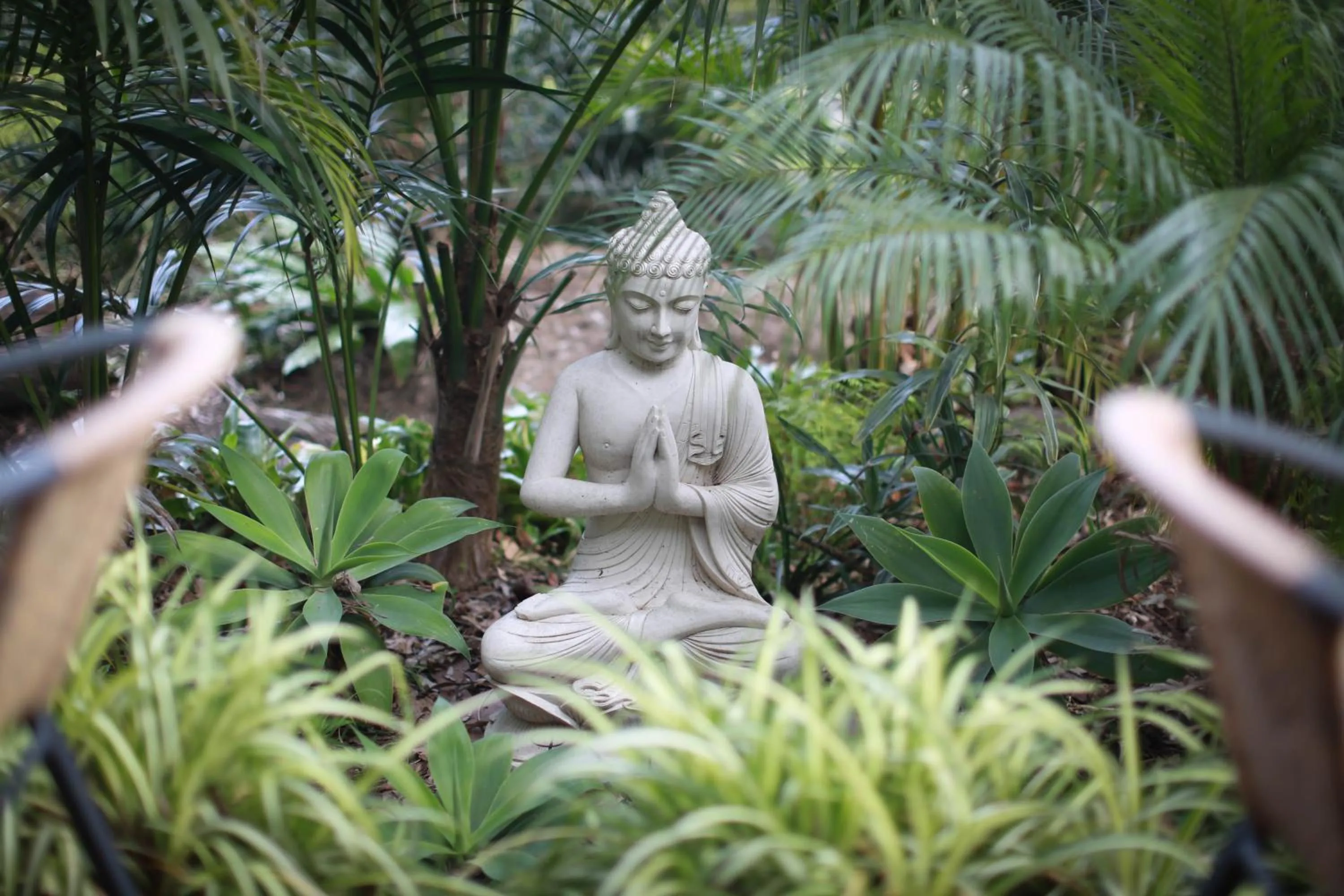 Garden in Palm Beach Bed & Breakfast