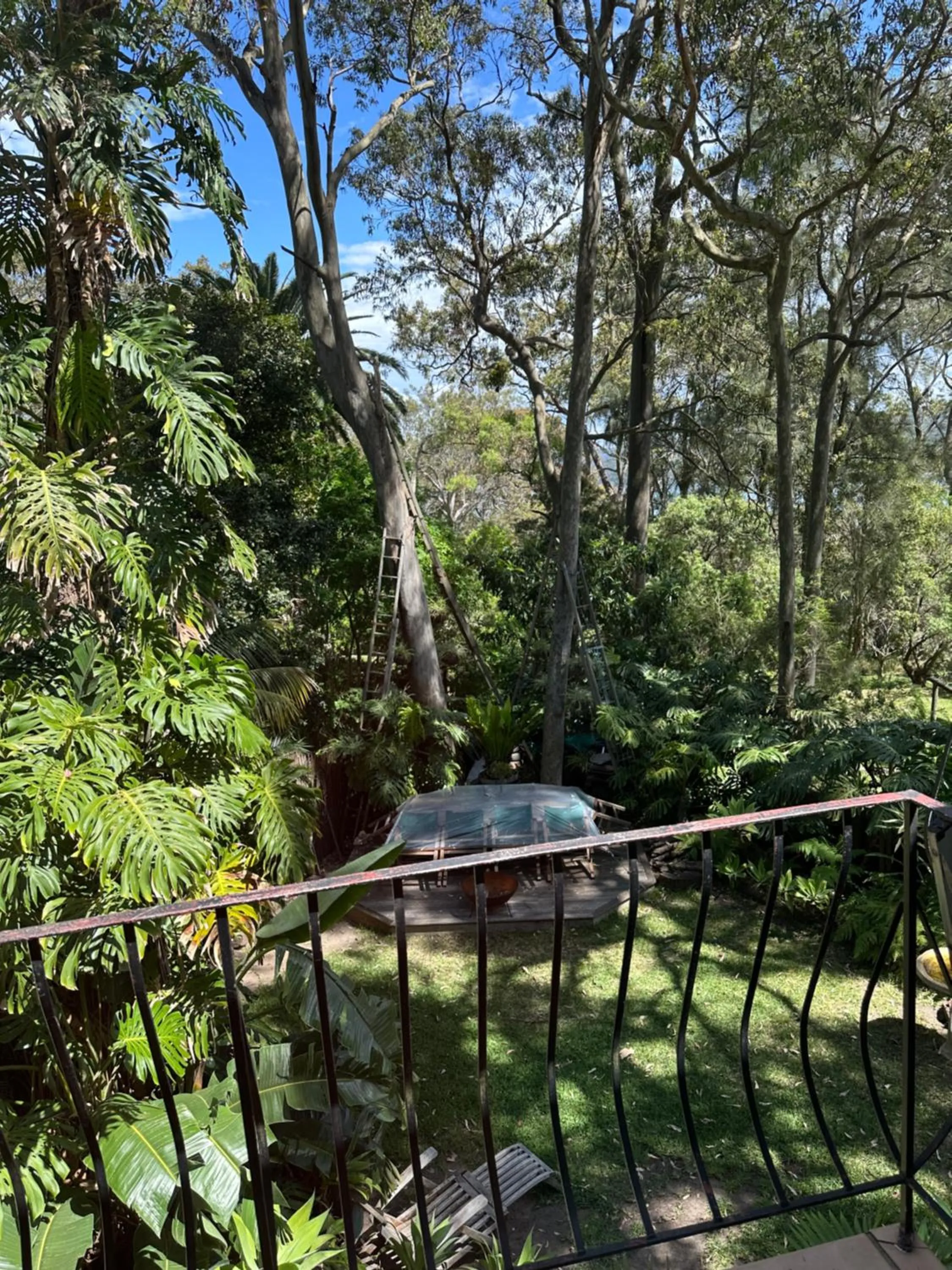 Natural landscape in Palm Beach Bed & Breakfast