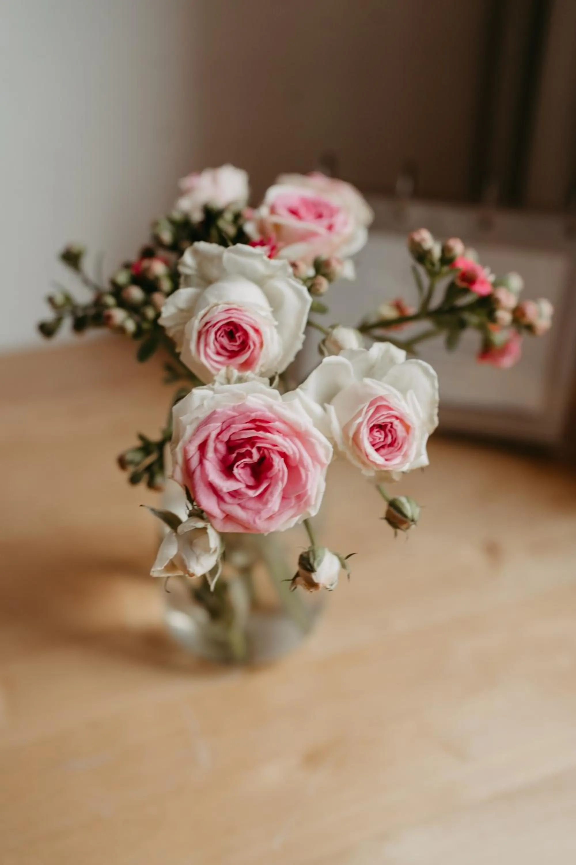 Hotel - Restaurant Soleo