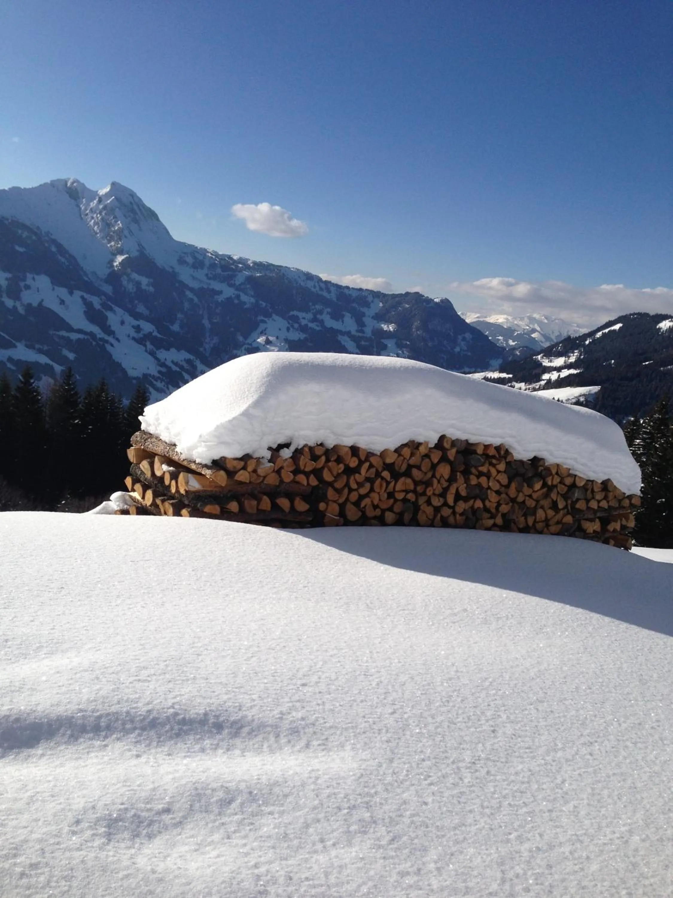 Winter in Landhotel Römerhof