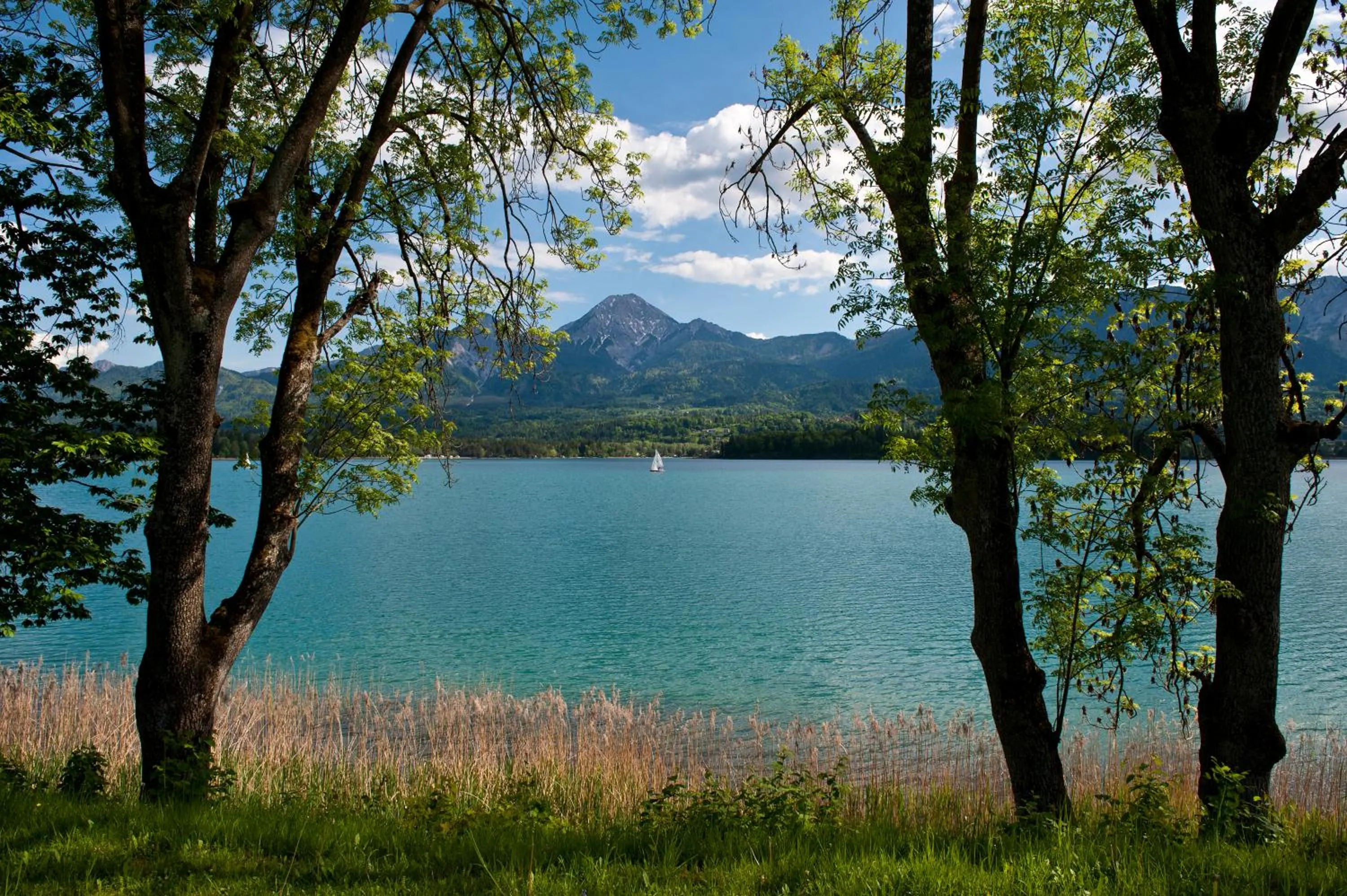 Area and facilities in Hotel Karnerhof