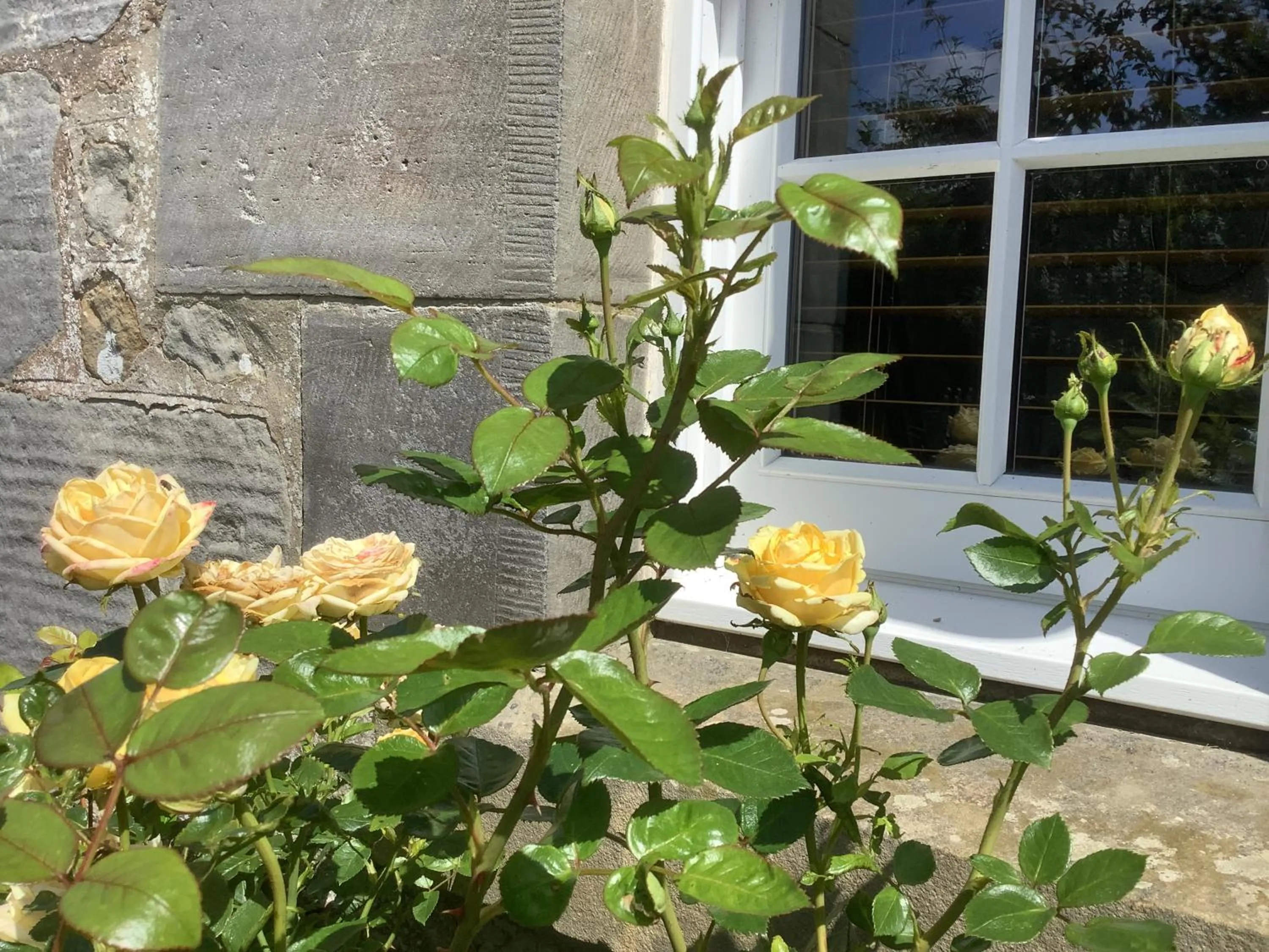 Balmungo Cottage B&B