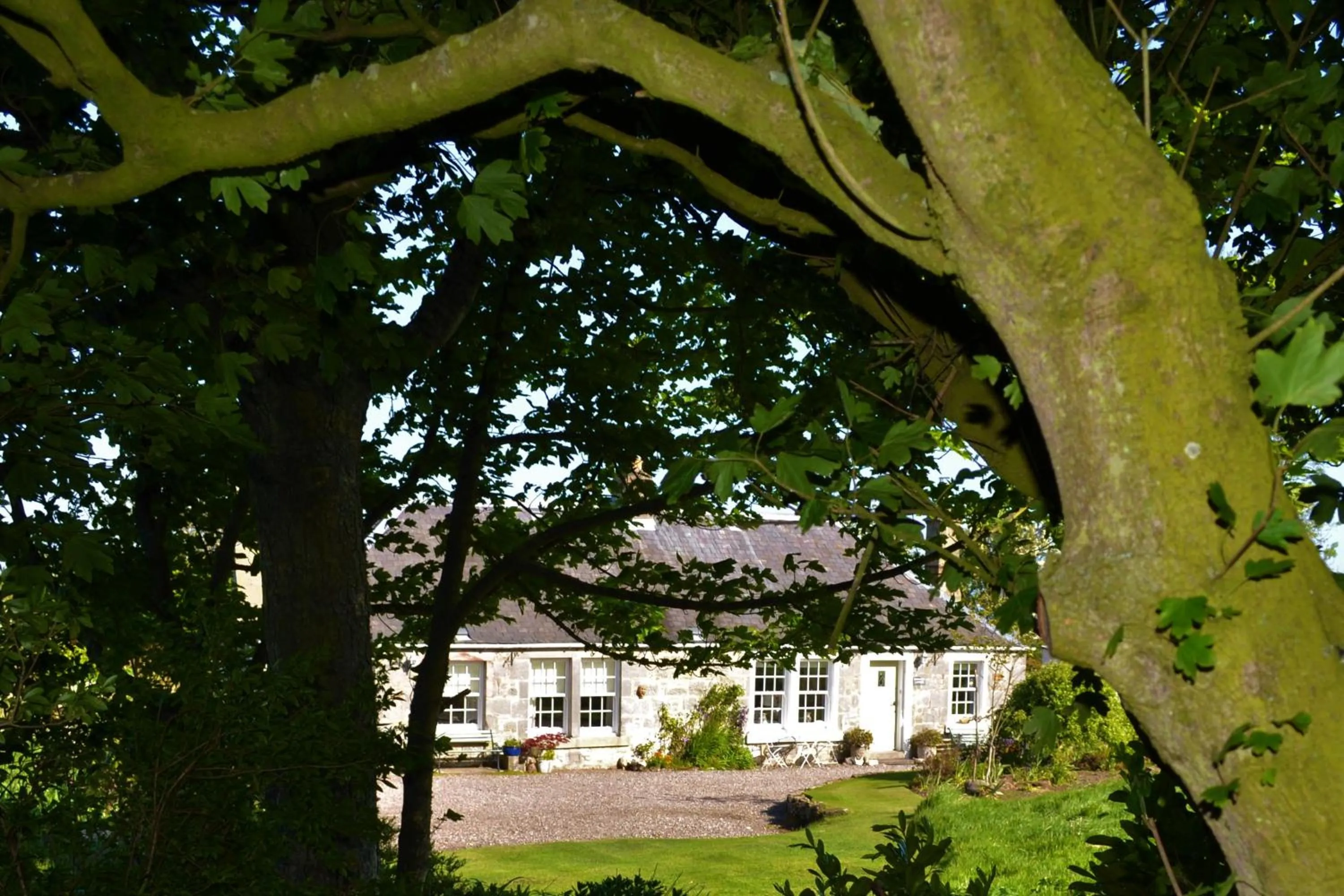 Property building in Balmungo Cottage B&B