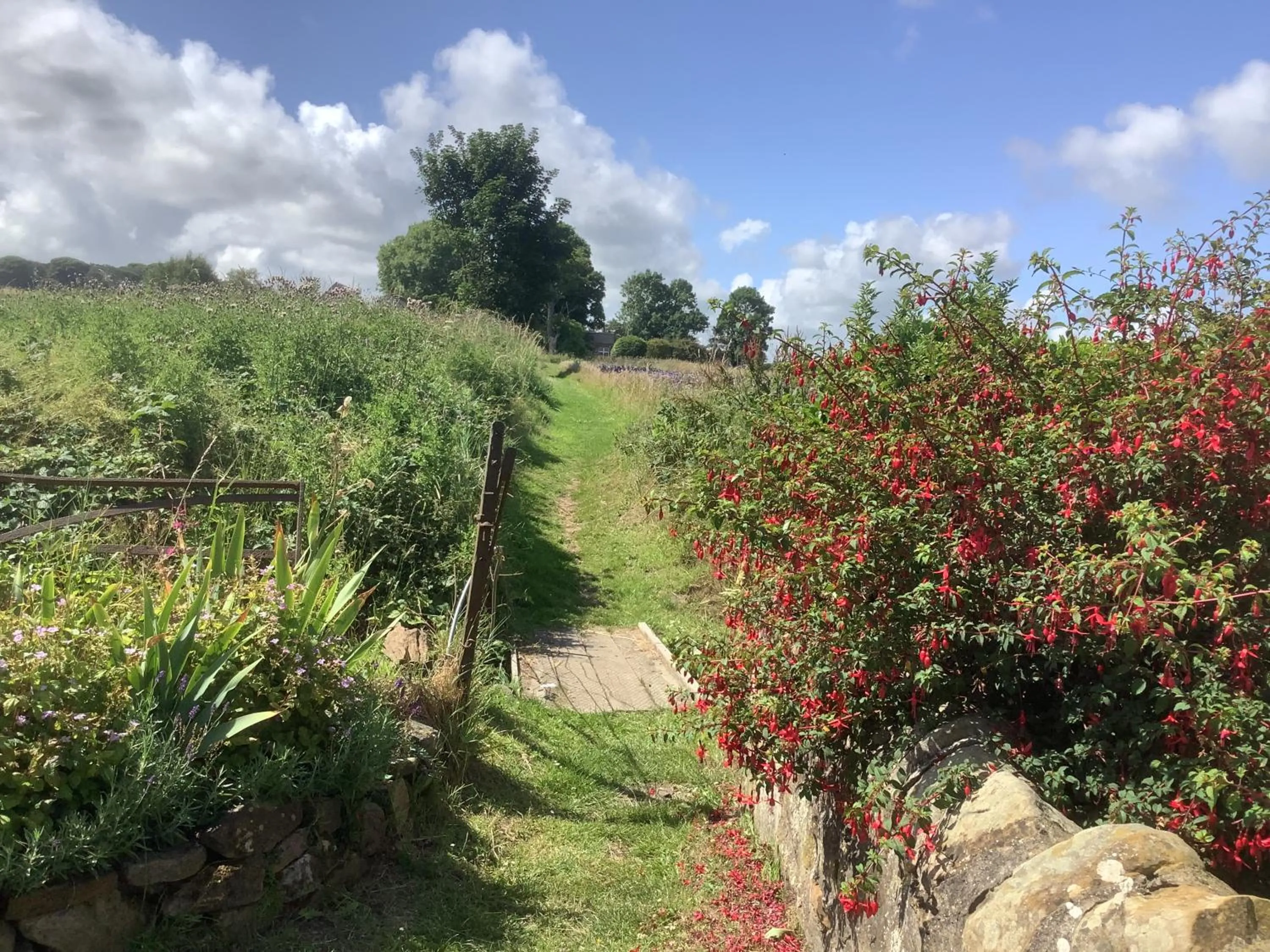 Balmungo Cottage B&B